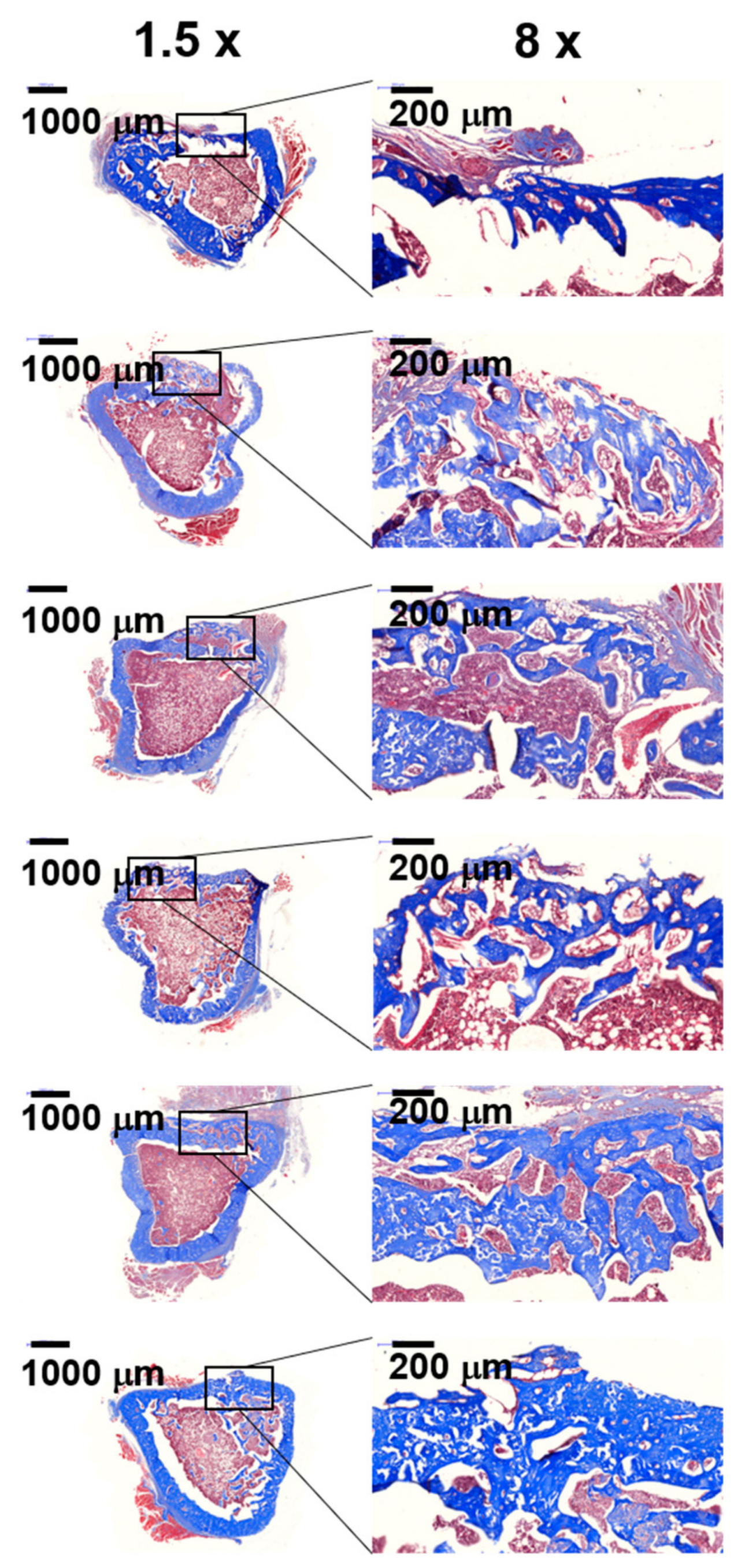 Marinedrugs 16 00351 g009 Marinedrugs 16 00351 g009