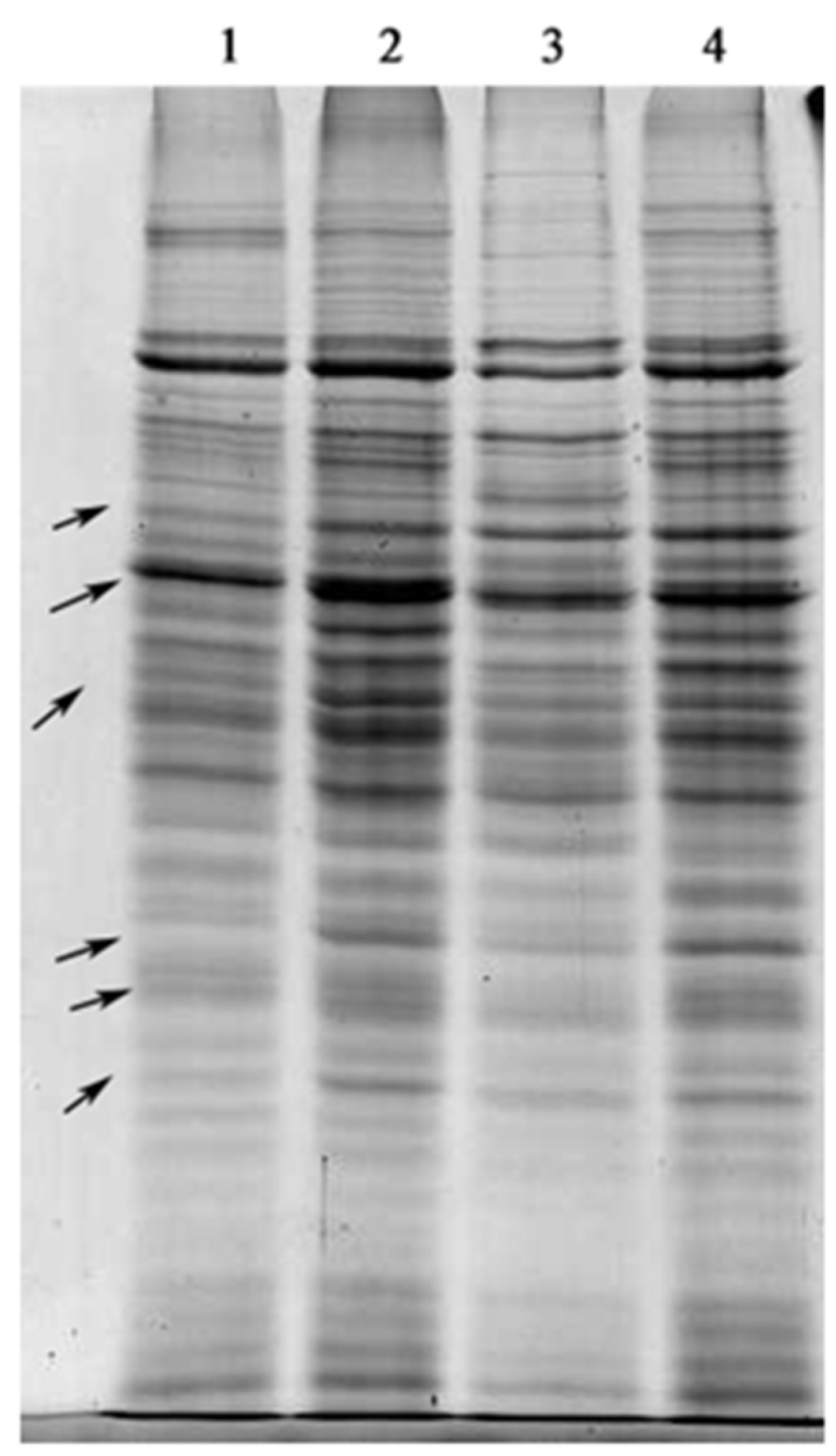 Marinedrugs 16 00354 g003 Marinedrugs 16 00354 g003