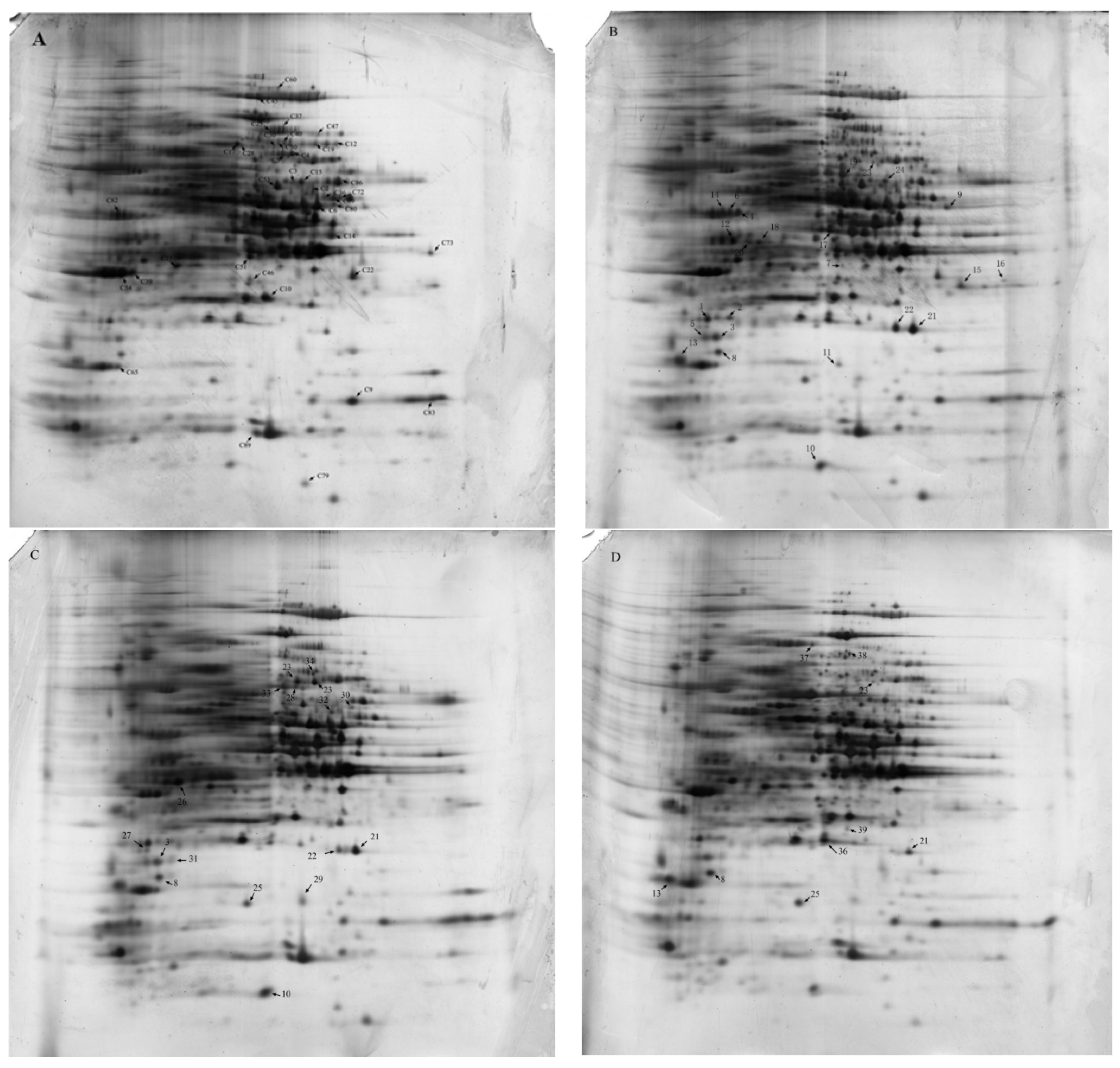 Marinedrugs 16 00354 g004 Marinedrugs 16 00354 g004