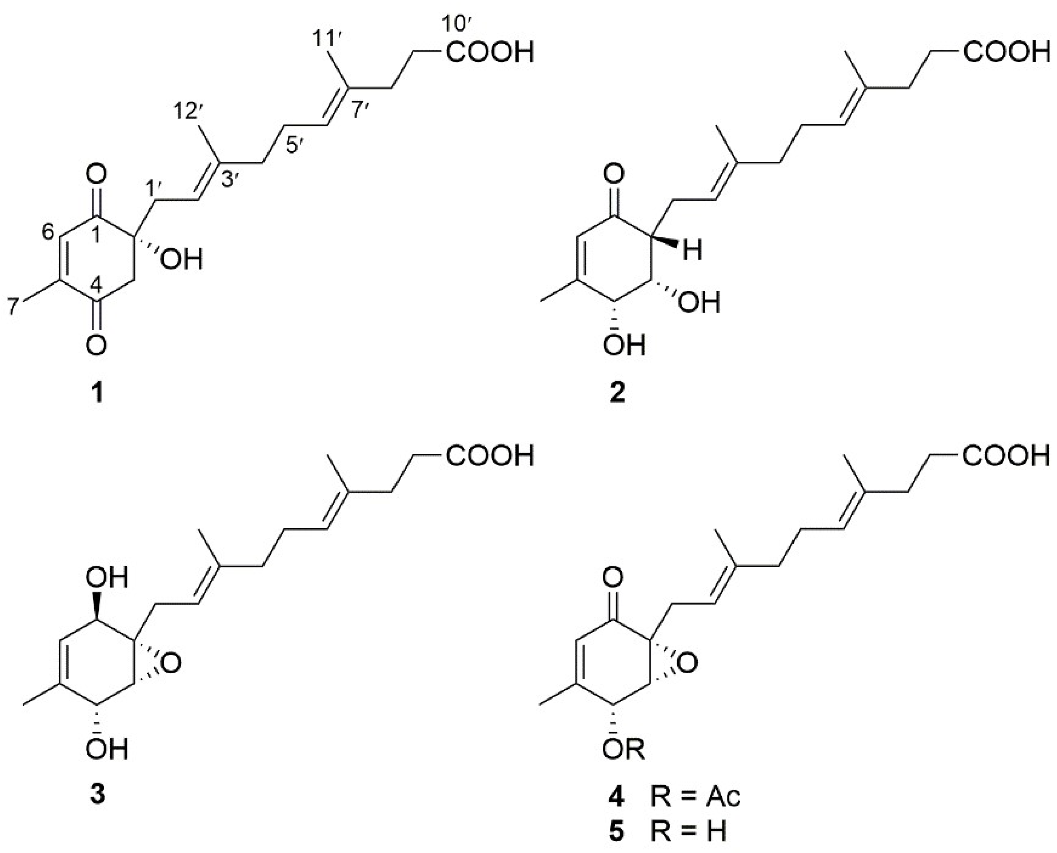 Marinedrugs 16 00358 g001 Marinedrugs 16 00358 g001