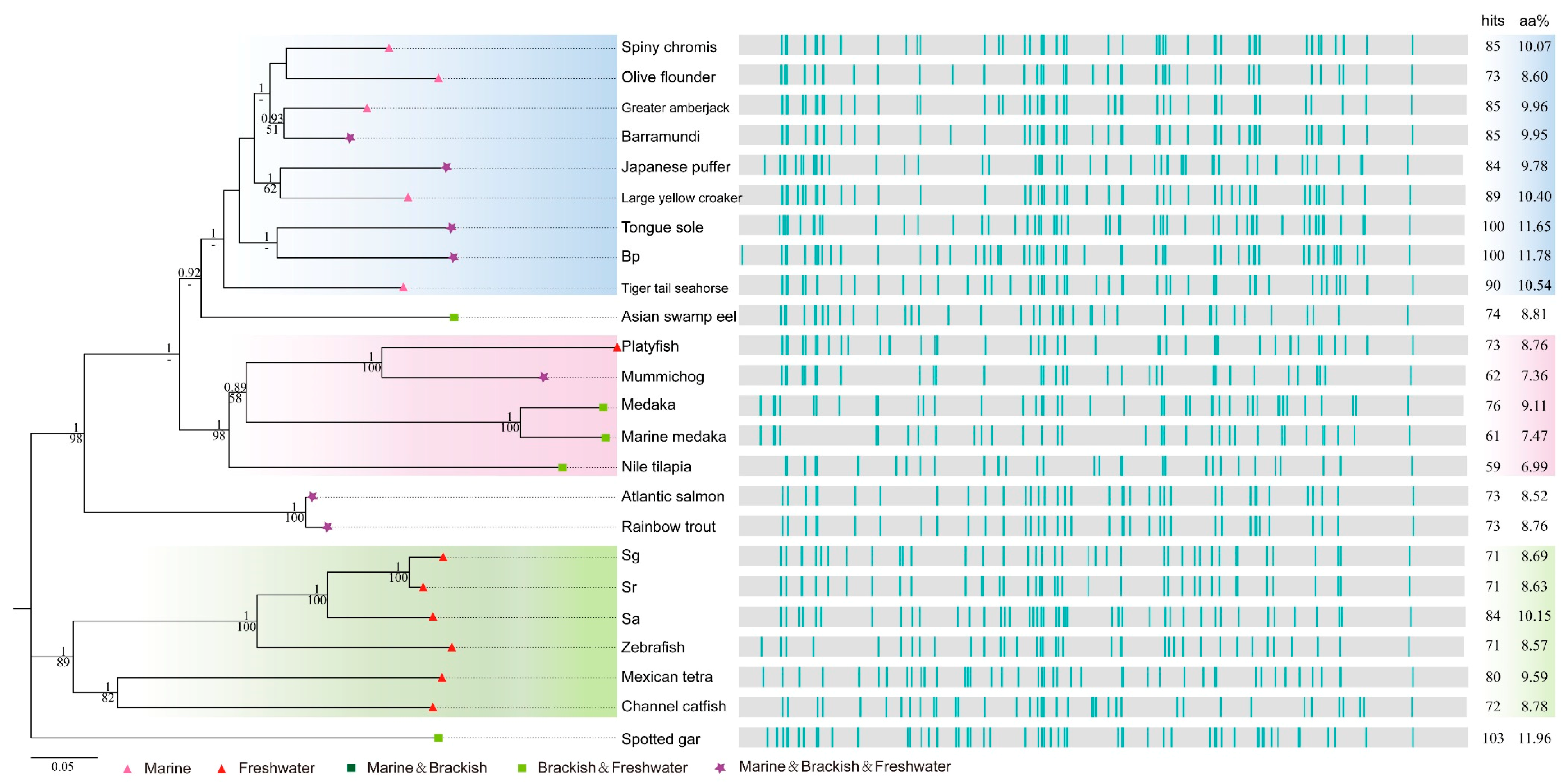 Marinedrugs 16 00365 g005