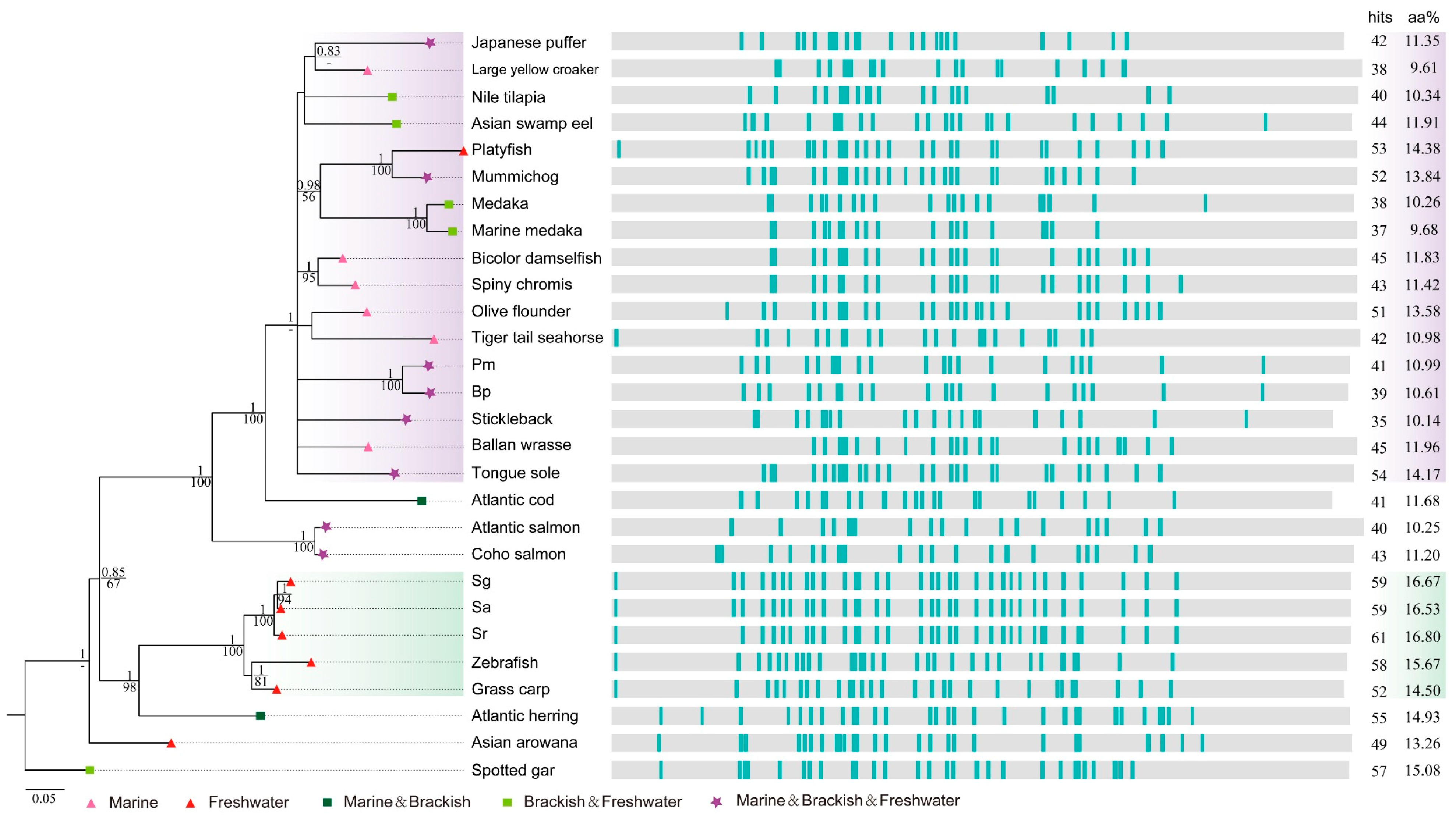Marinedrugs 16 00365 g006