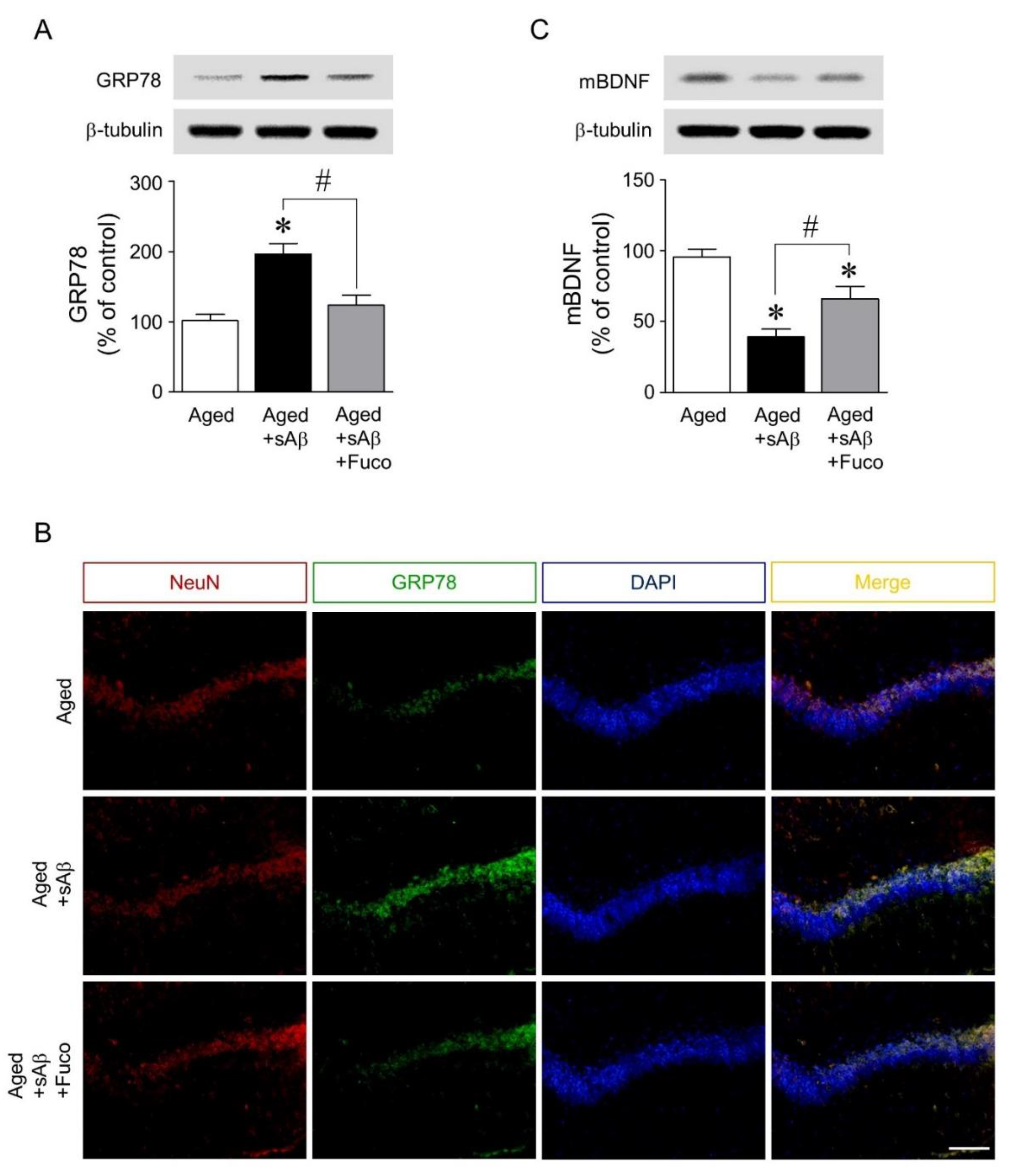 Marinedrugs 16 00368 g005 Marinedrugs 16 00368 g005