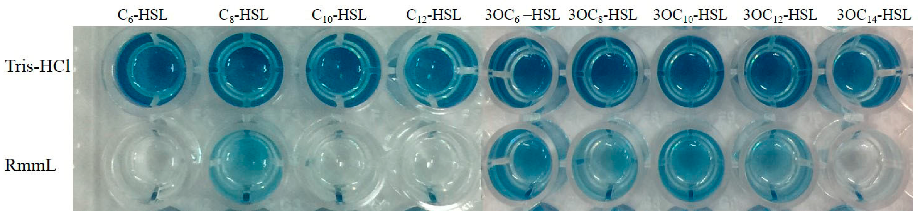 Marinedrugs 16 00370 g005 Marinedrugs 16 00370 g005