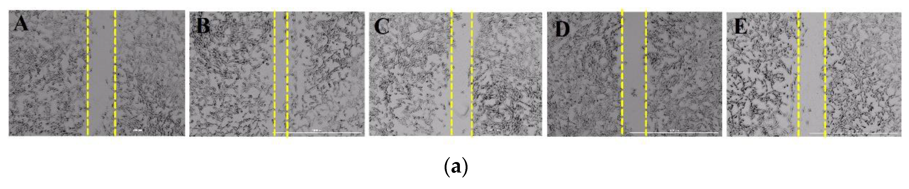 Marinedrugs 16 00375 g004a Marinedrugs 16 00375 g004a