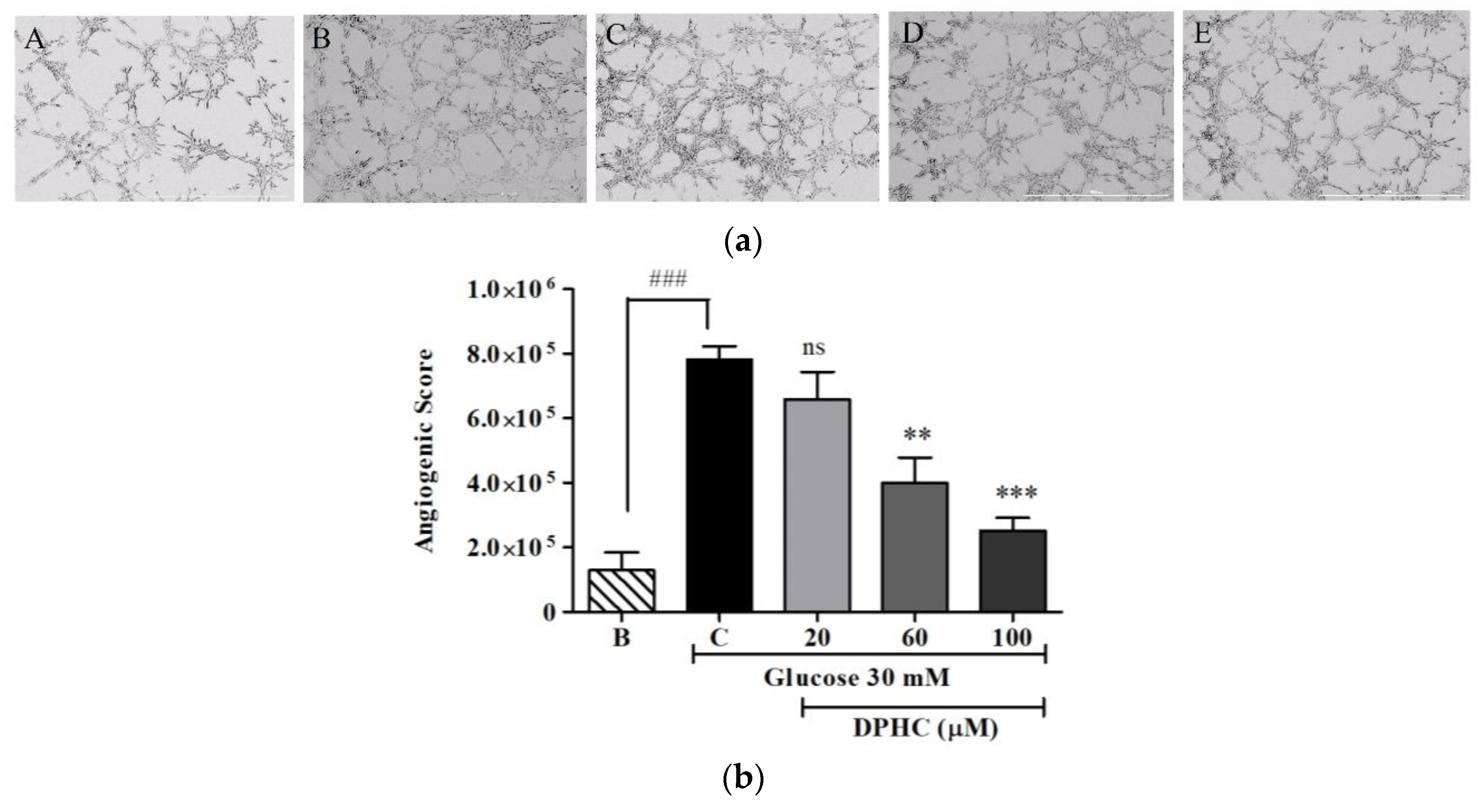 Marinedrugs 16 00375 g005 Marinedrugs 16 00375 g005