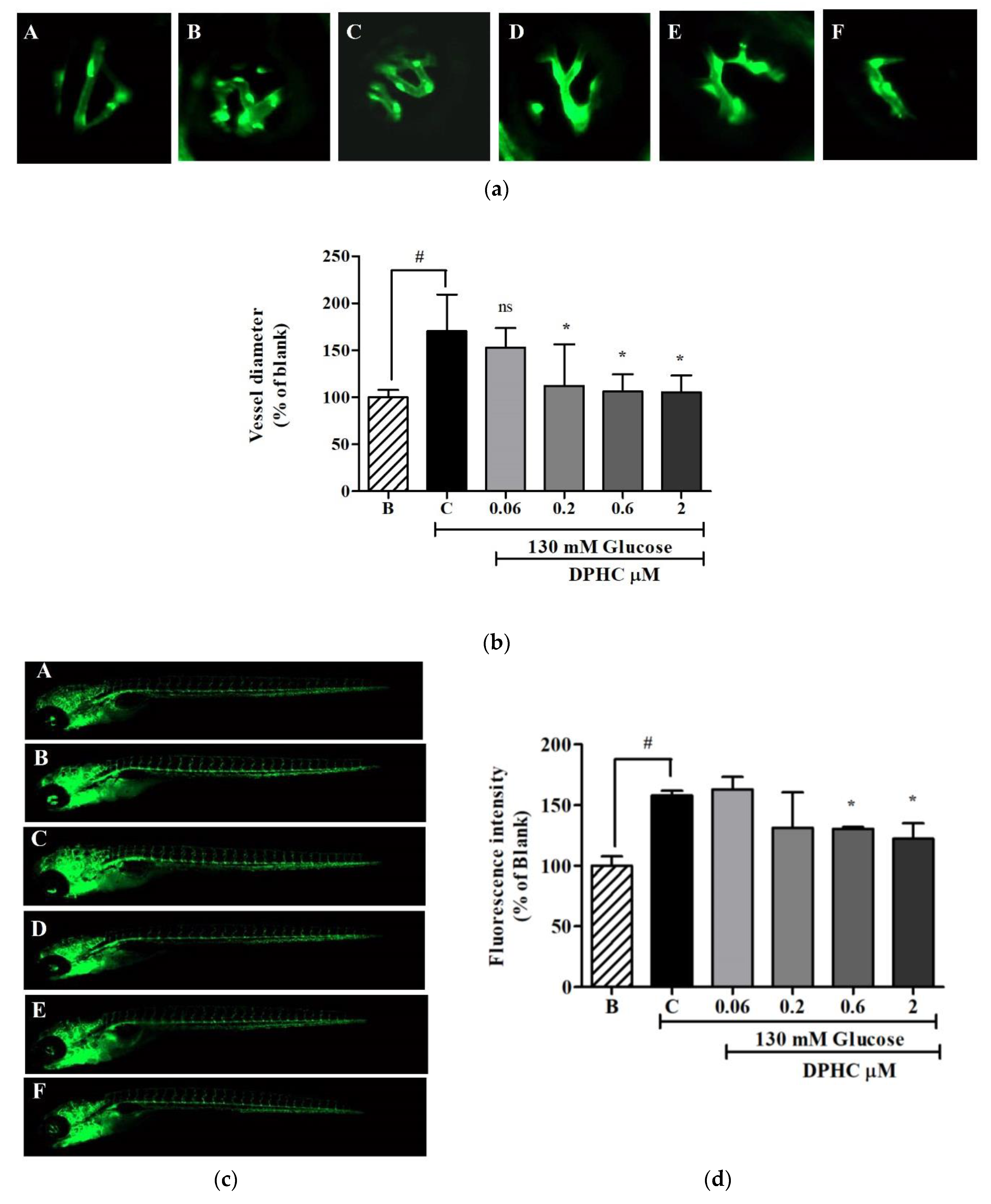 Marinedrugs 16 00375 g007 Marinedrugs 16 00375 g007