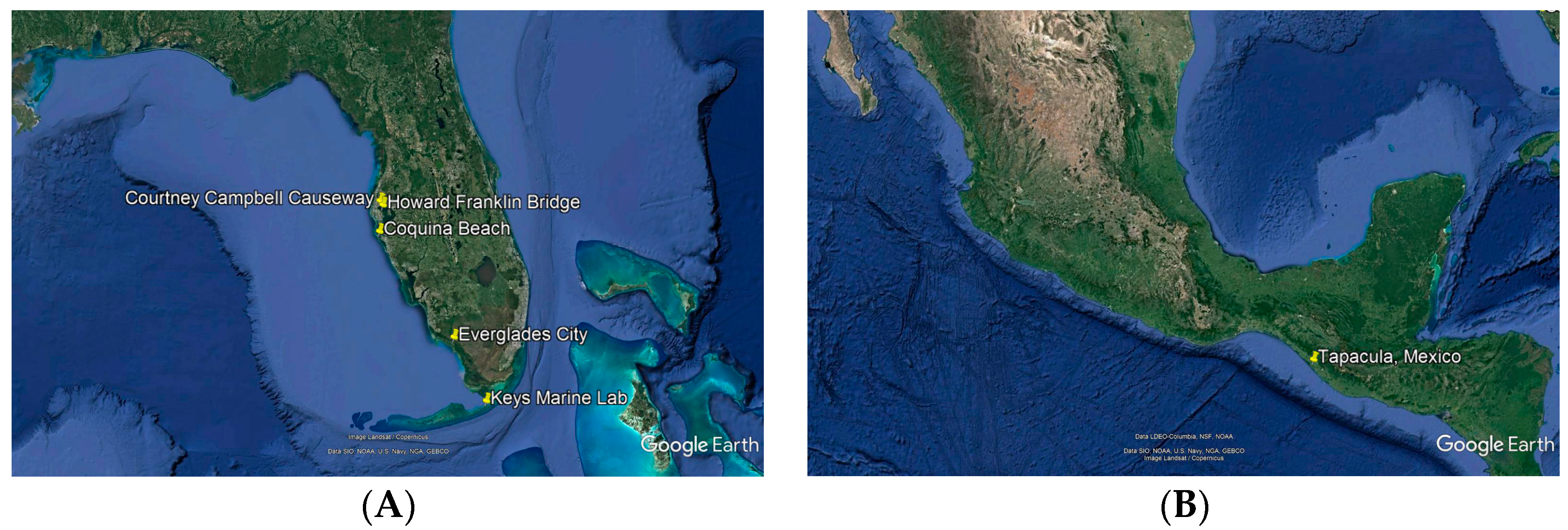 Marinedrugs 16 00376 g002 Marinedrugs 16 00376 g002