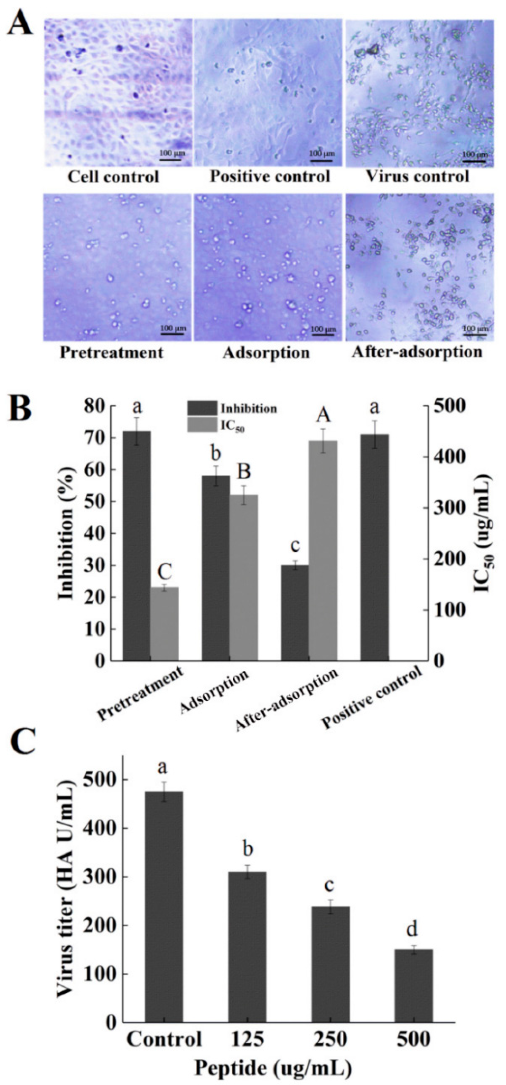 Marinedrugs 16 00377 g006 Marinedrugs 16 00377 g006