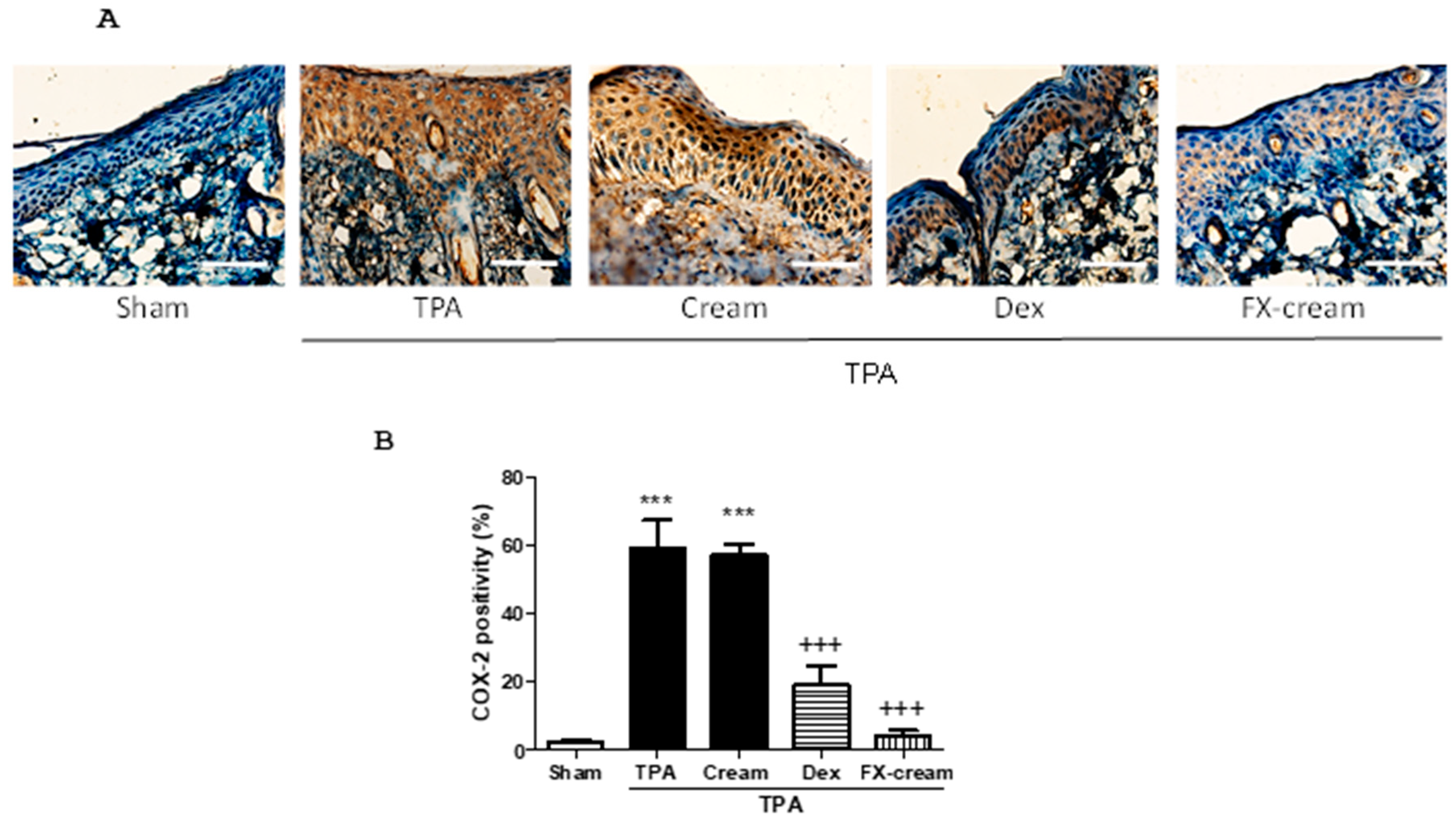 Marinedrugs 16 00378 g004 Marinedrugs 16 00378 g004