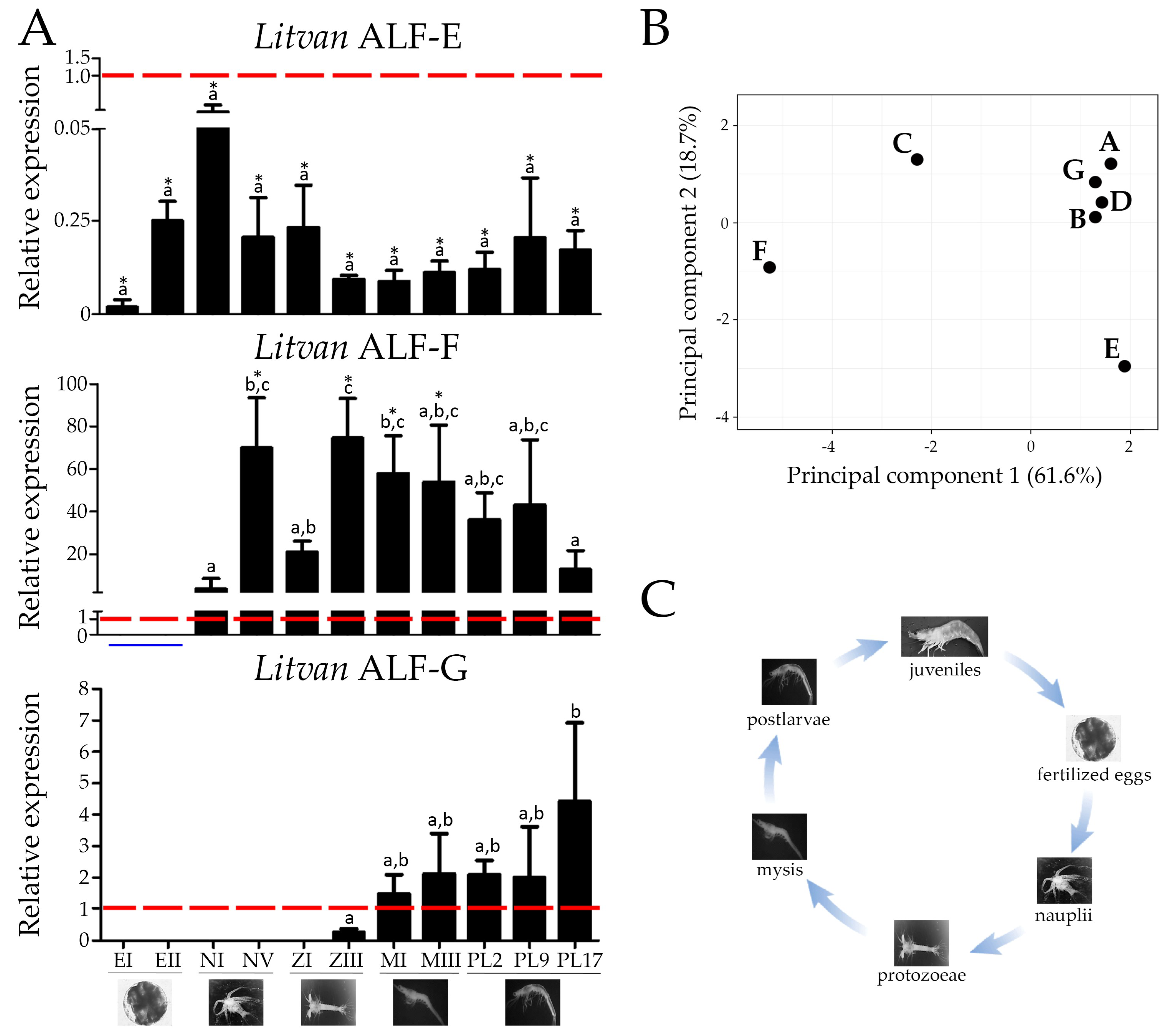 Marinedrugs 16 00381 g004 Marinedrugs 16 00381 g004