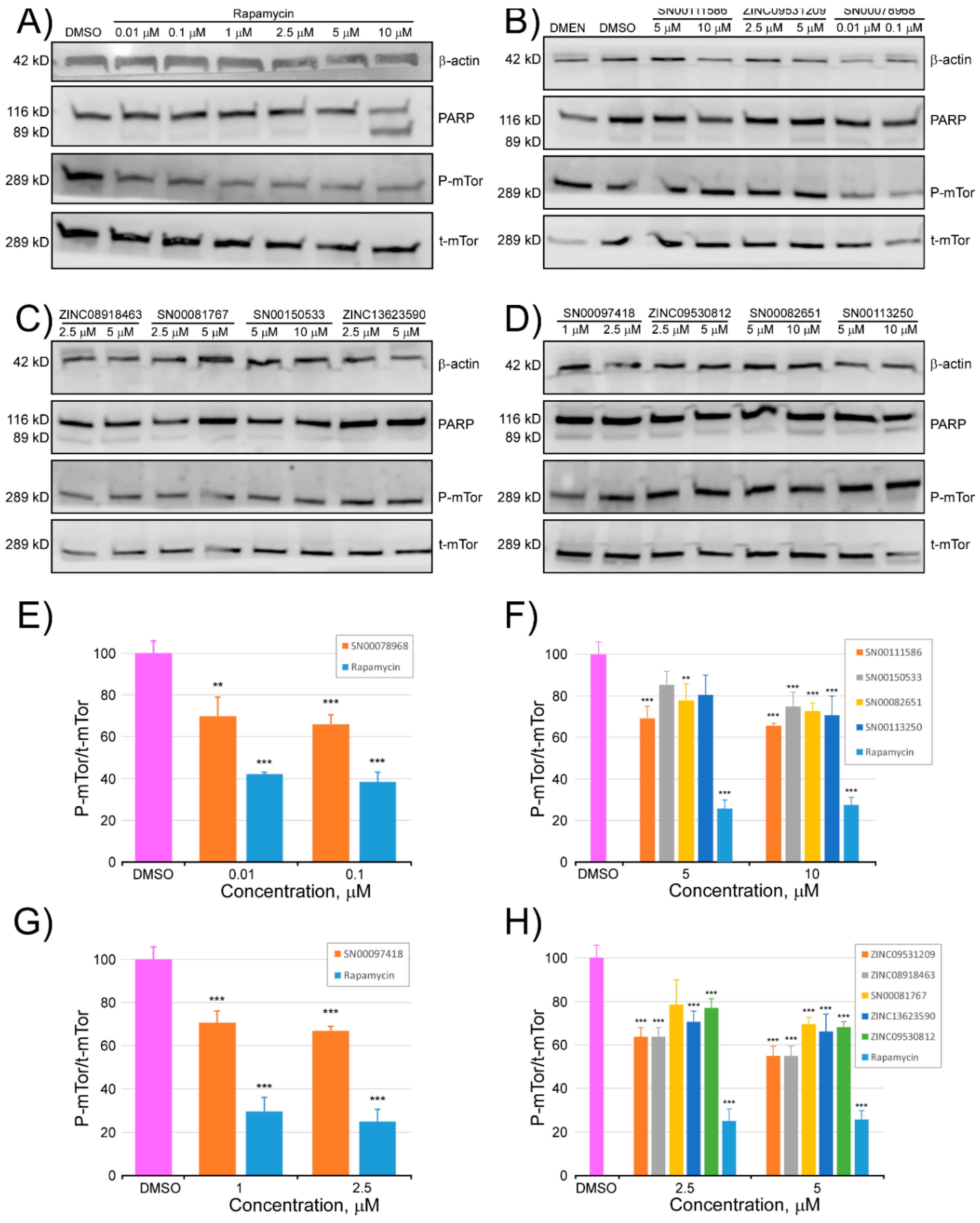 Marinedrugs 16 00385 g007 Marinedrugs 16 00385 g007