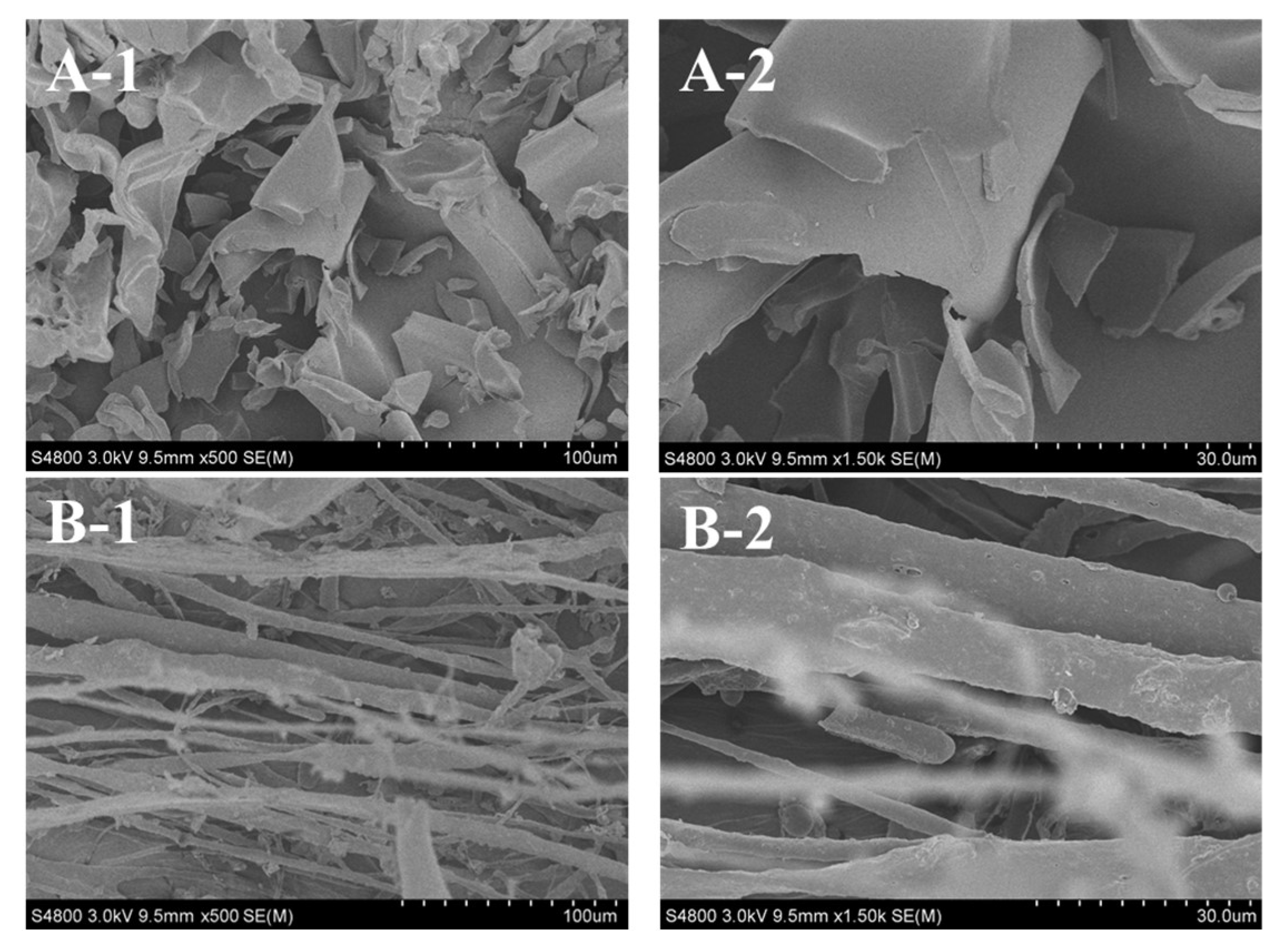 Marinedrugs 16 00394 g008 Marinedrugs 16 00394 g008