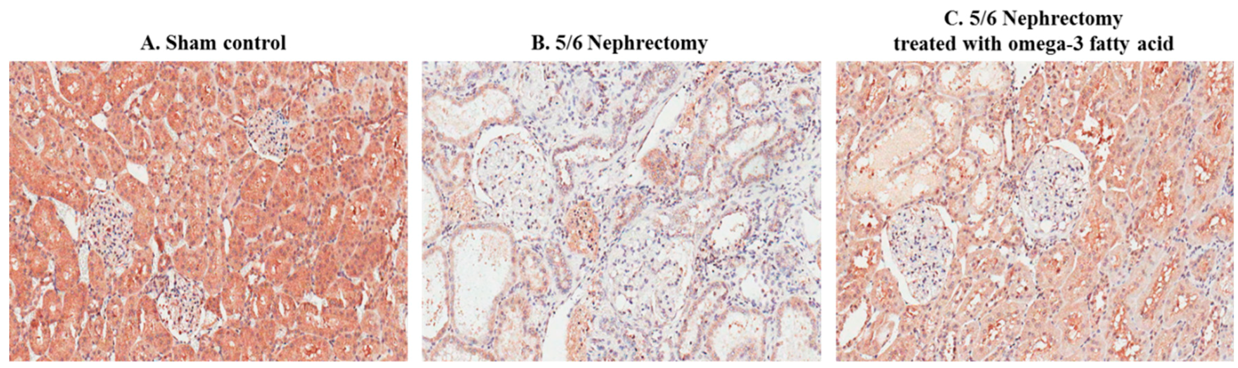 Marinedrugs 16 00398 g002