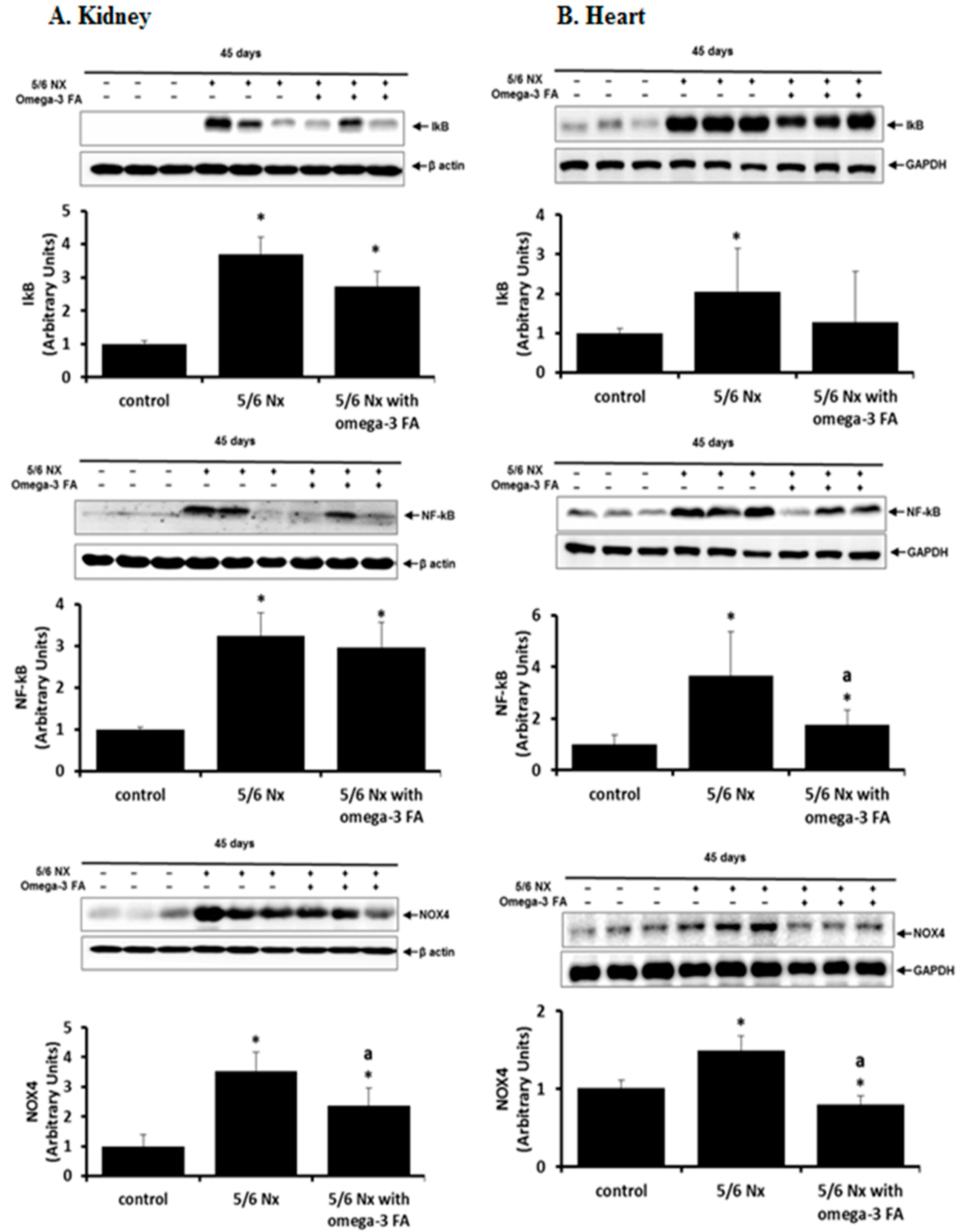 Marinedrugs 16 00398 g003