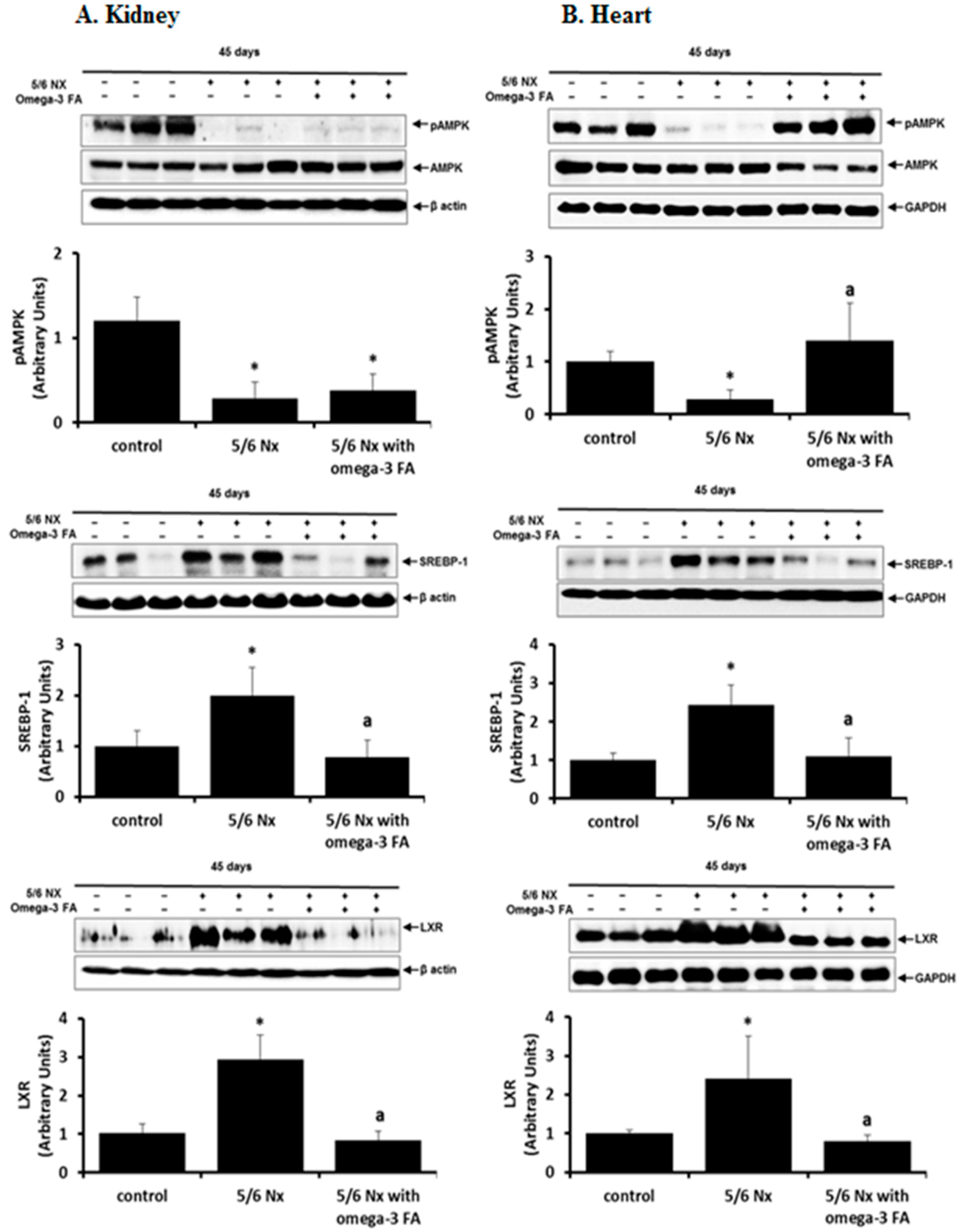 Marinedrugs 16 00398 g004