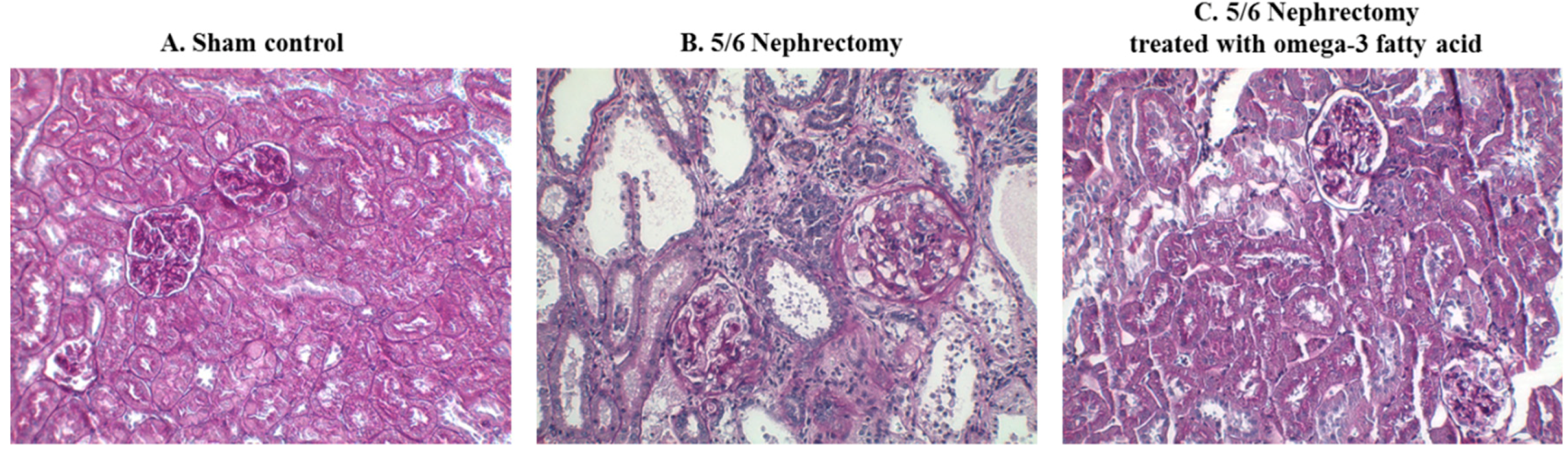 Marinedrugs 16 00398 g005