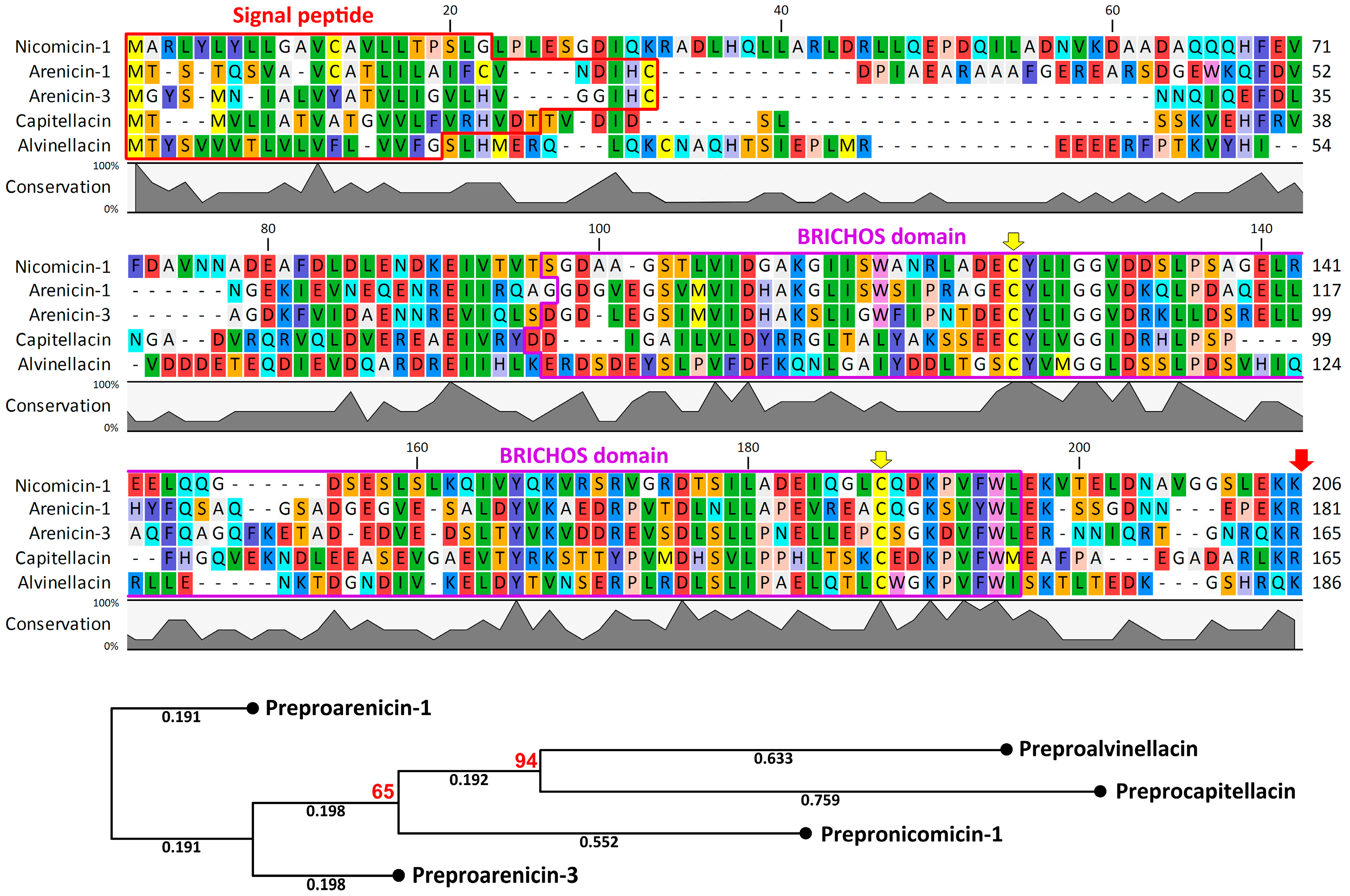 Marinedrugs 16 00401 g002 Marinedrugs 16 00401 g002