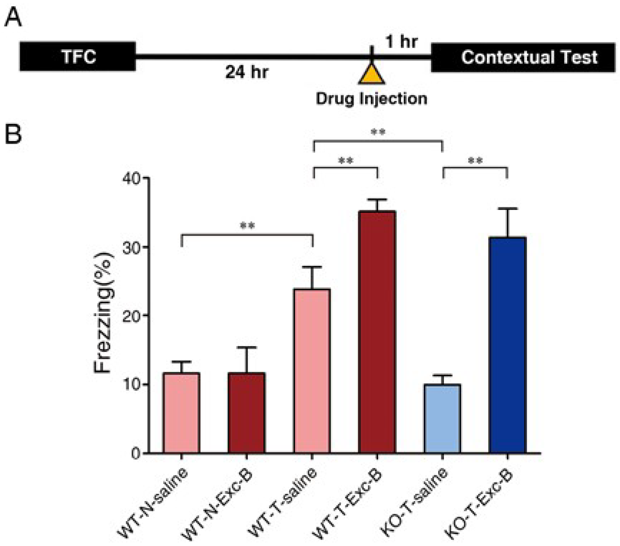 Marinedrugs 16 00405 g002a Marinedrugs 16 00405 g002a