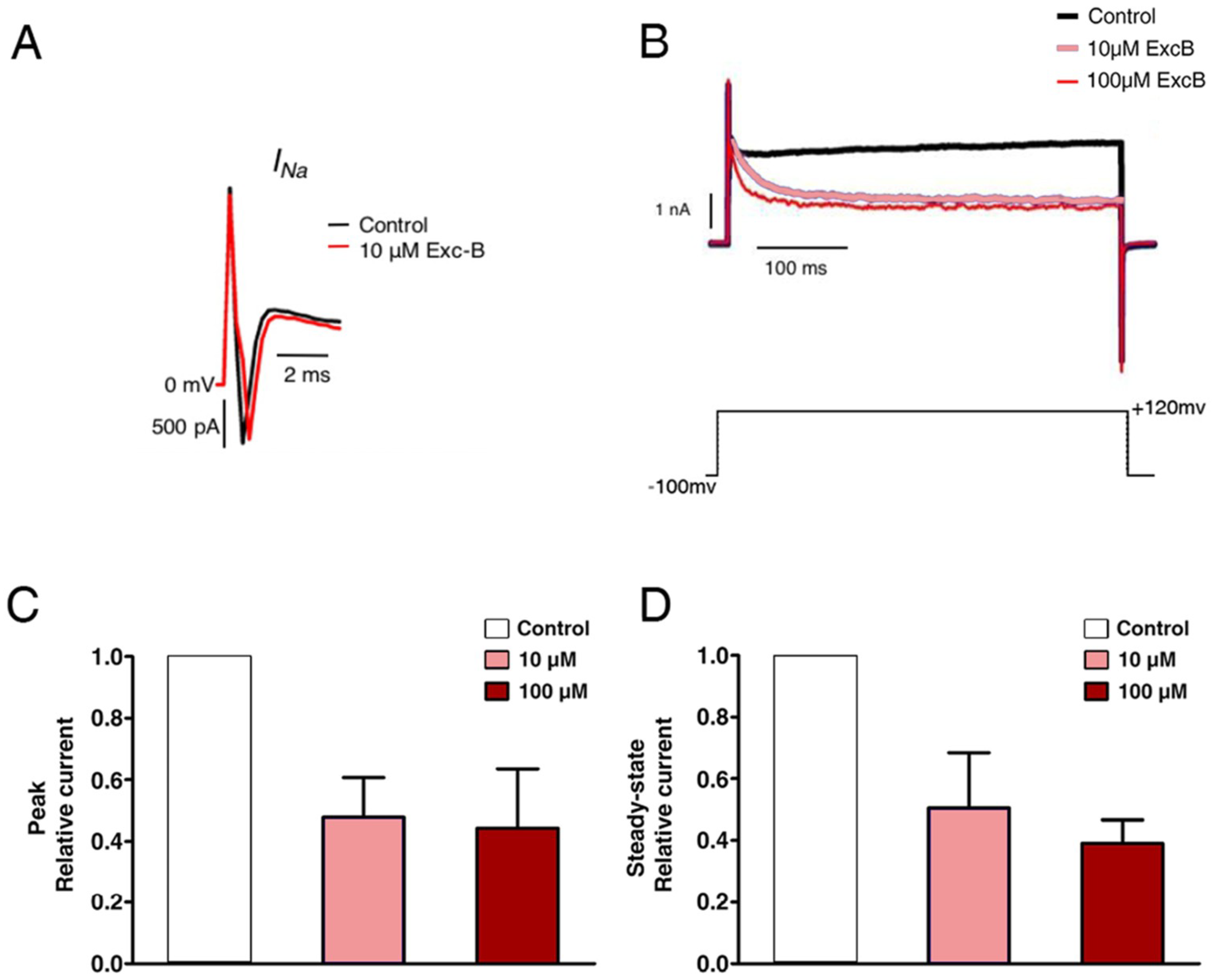 Marinedrugs 16 00405 g003a Marinedrugs 16 00405 g003a