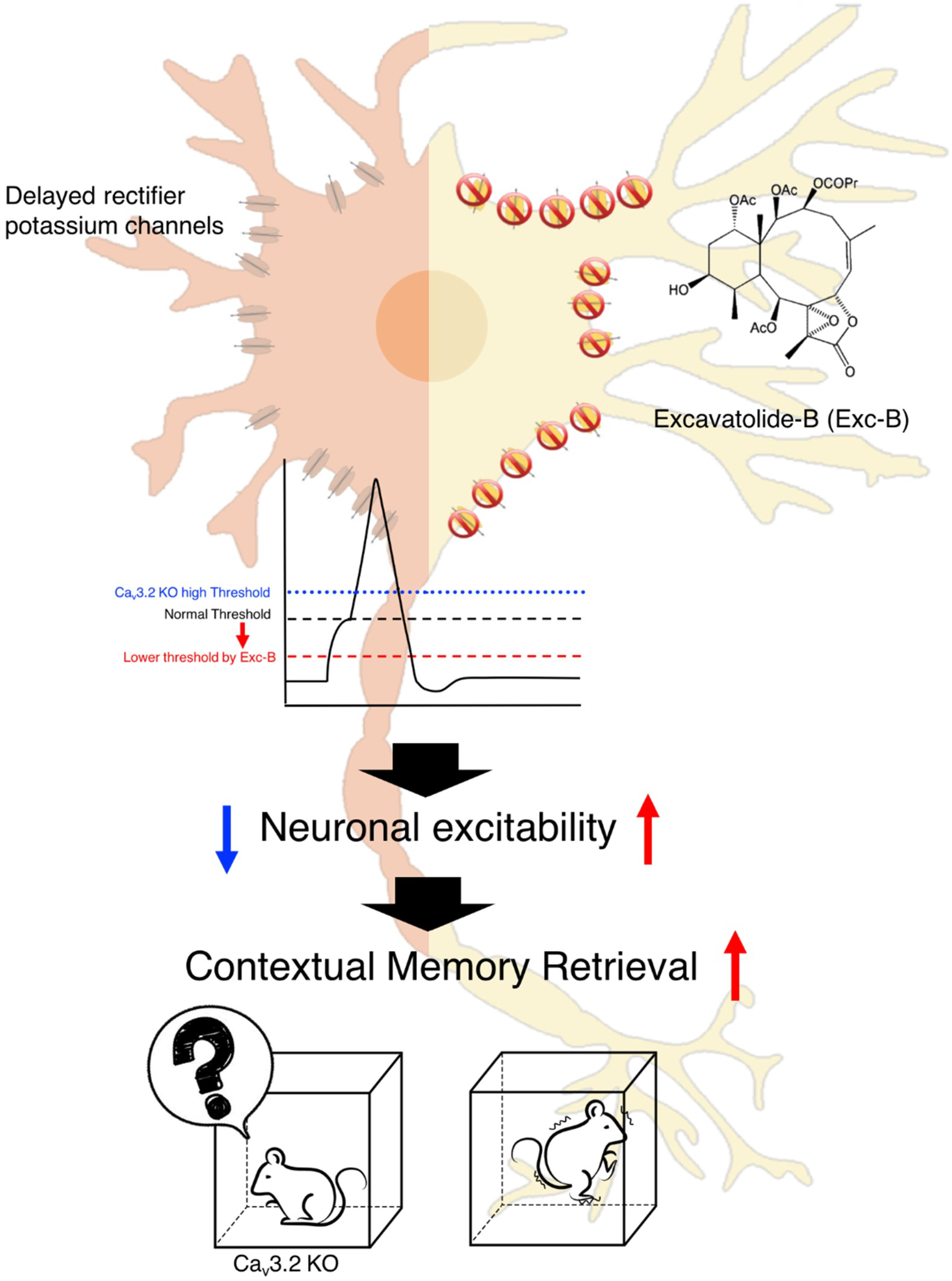 Marinedrugs 16 00405 g005 Marinedrugs 16 00405 g005