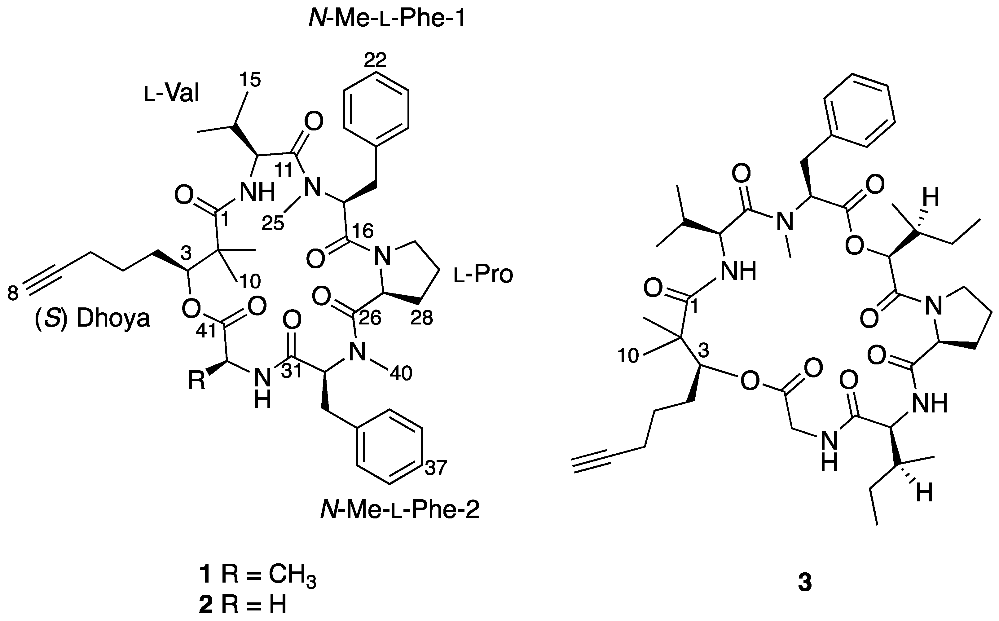 Marinedrugs 16 00409 g001