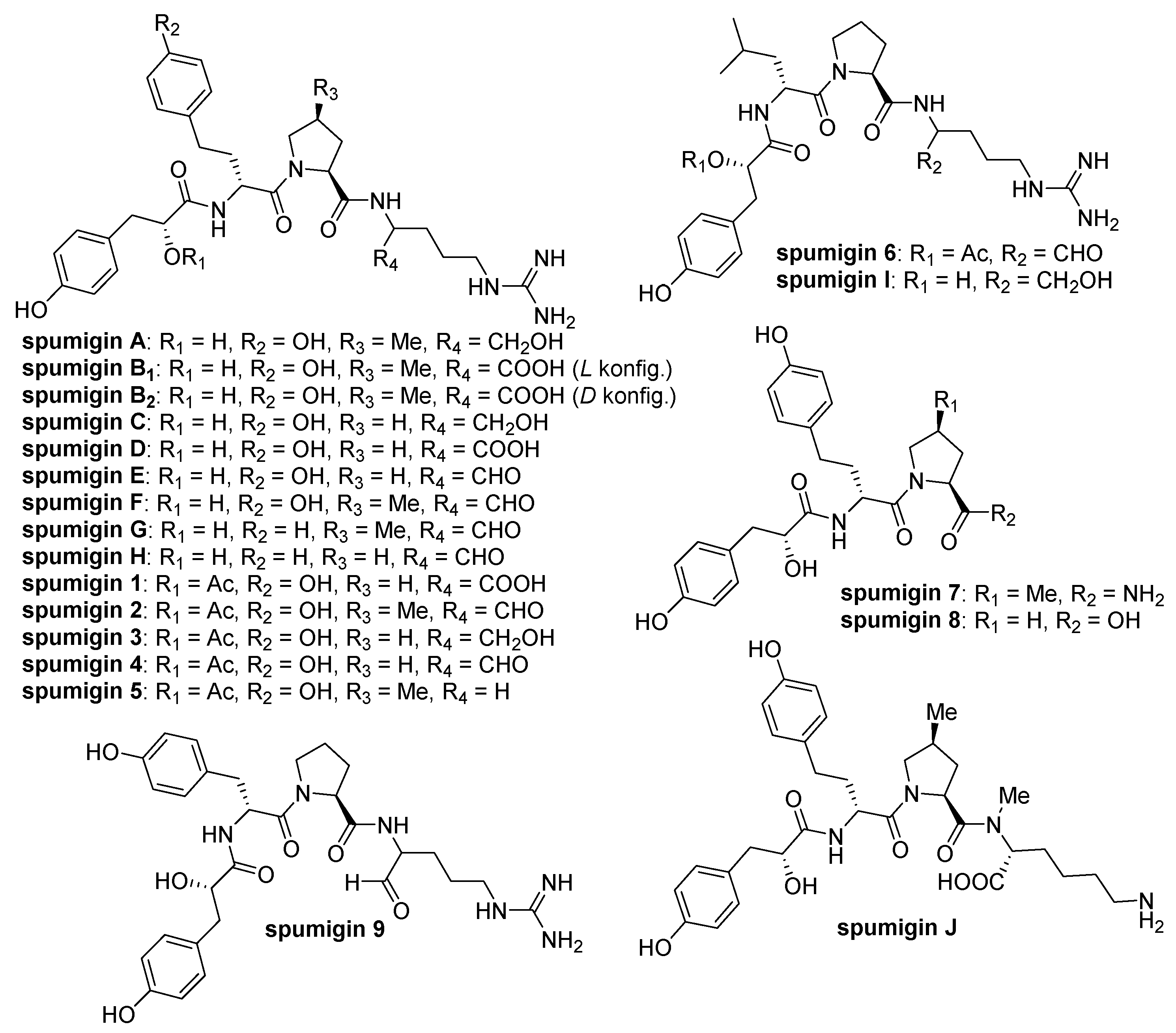 Marinedrugs 16 00413 g001
