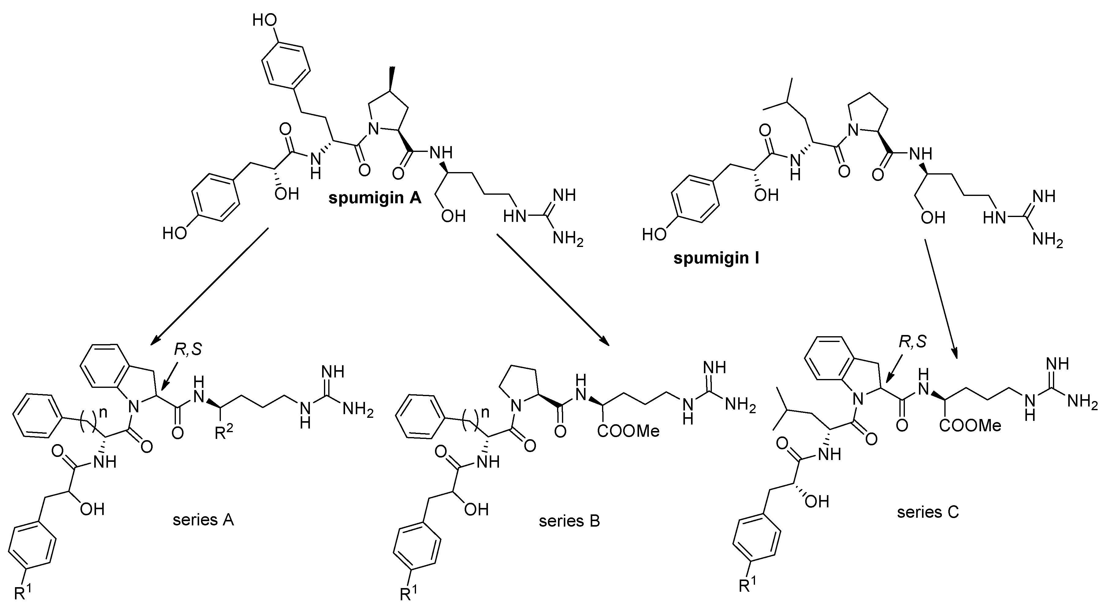 Marinedrugs 16 00413 g002