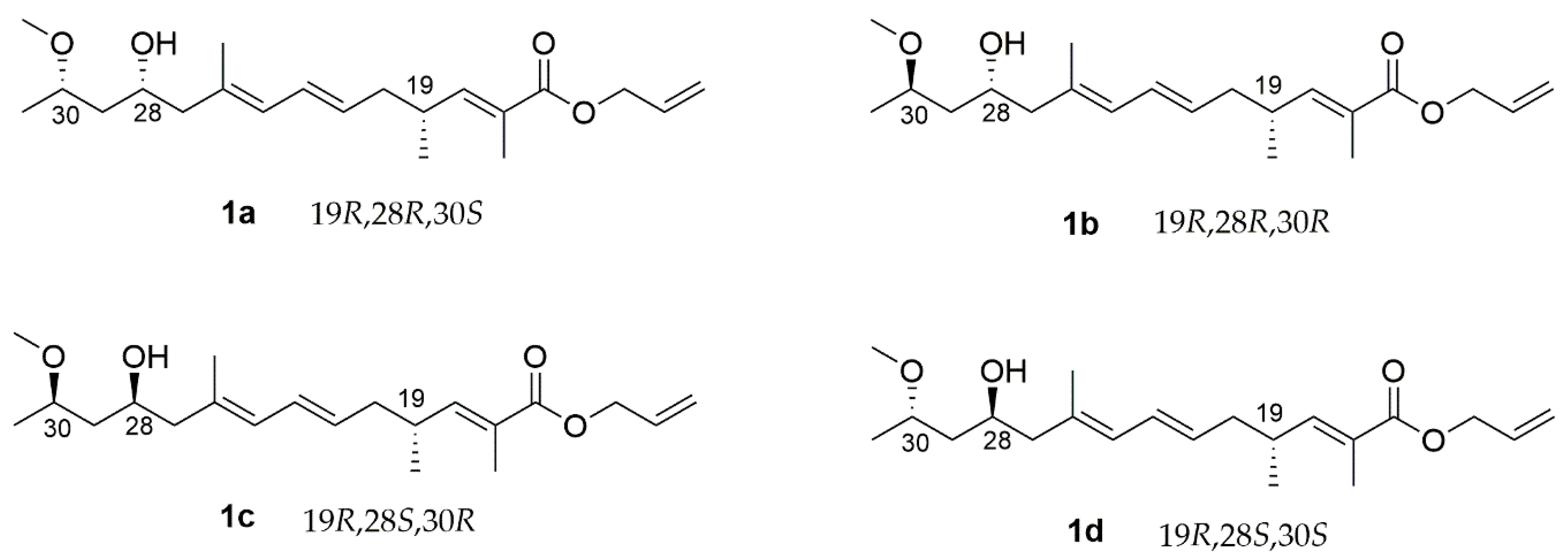 Marinedrugs 16 00414 g002