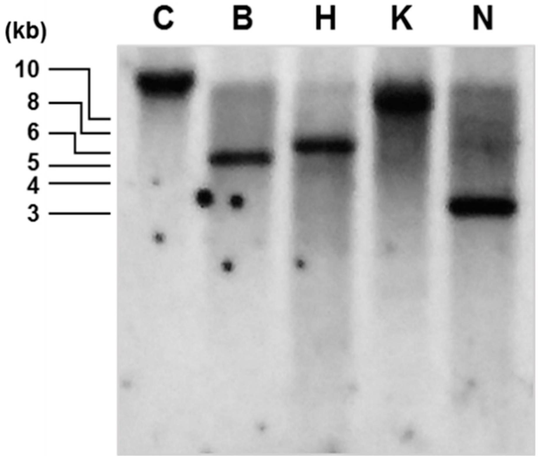 Marinedrugs 16 00418 g002 Marinedrugs 16 00418 g002