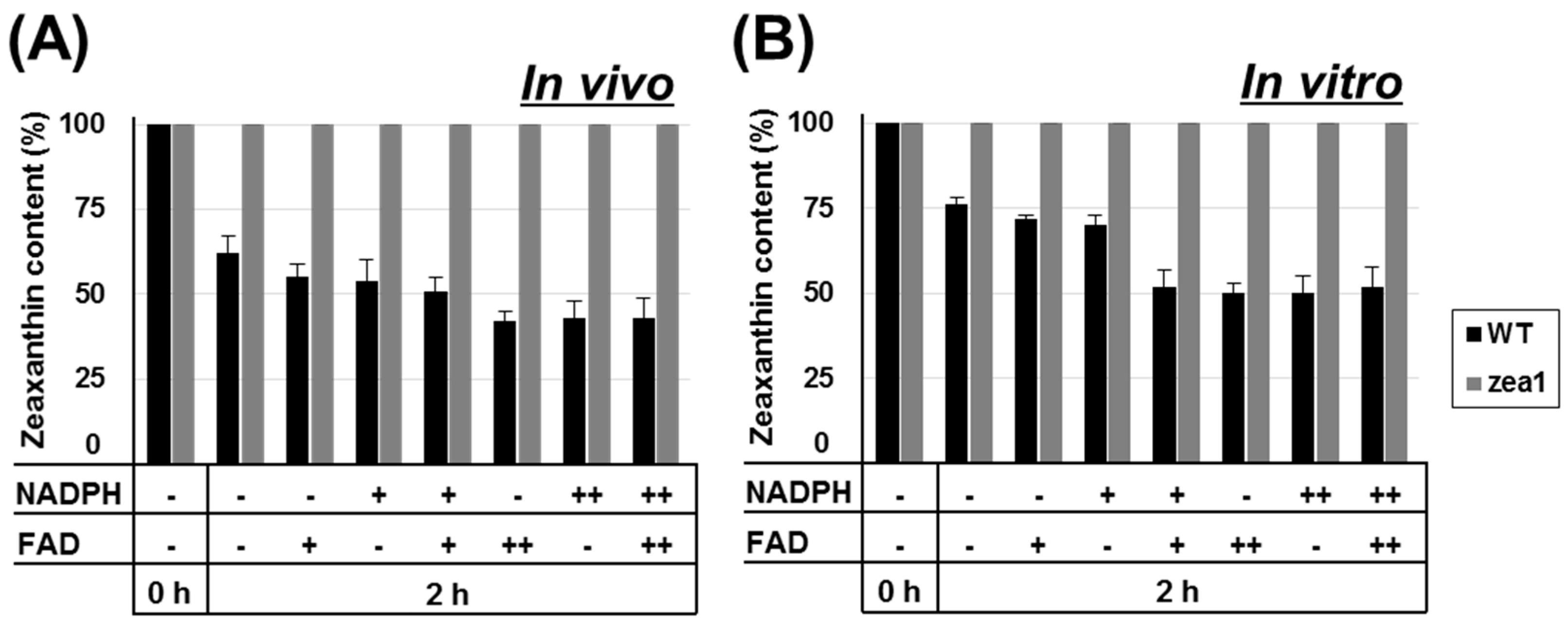 Marinedrugs 16 00418 g006 Marinedrugs 16 00418 g006