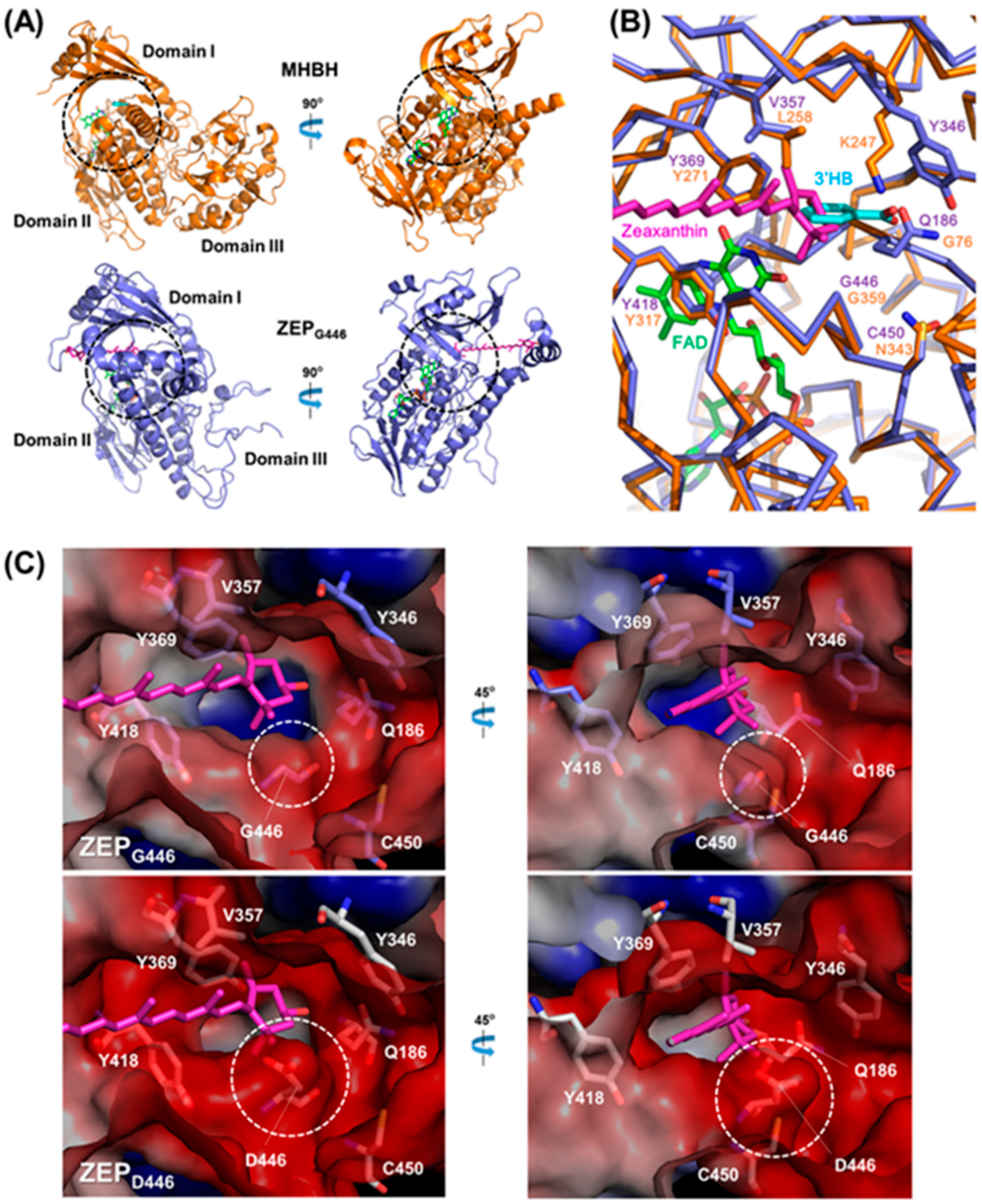 Marinedrugs 16 00418 g007 Marinedrugs 16 00418 g007