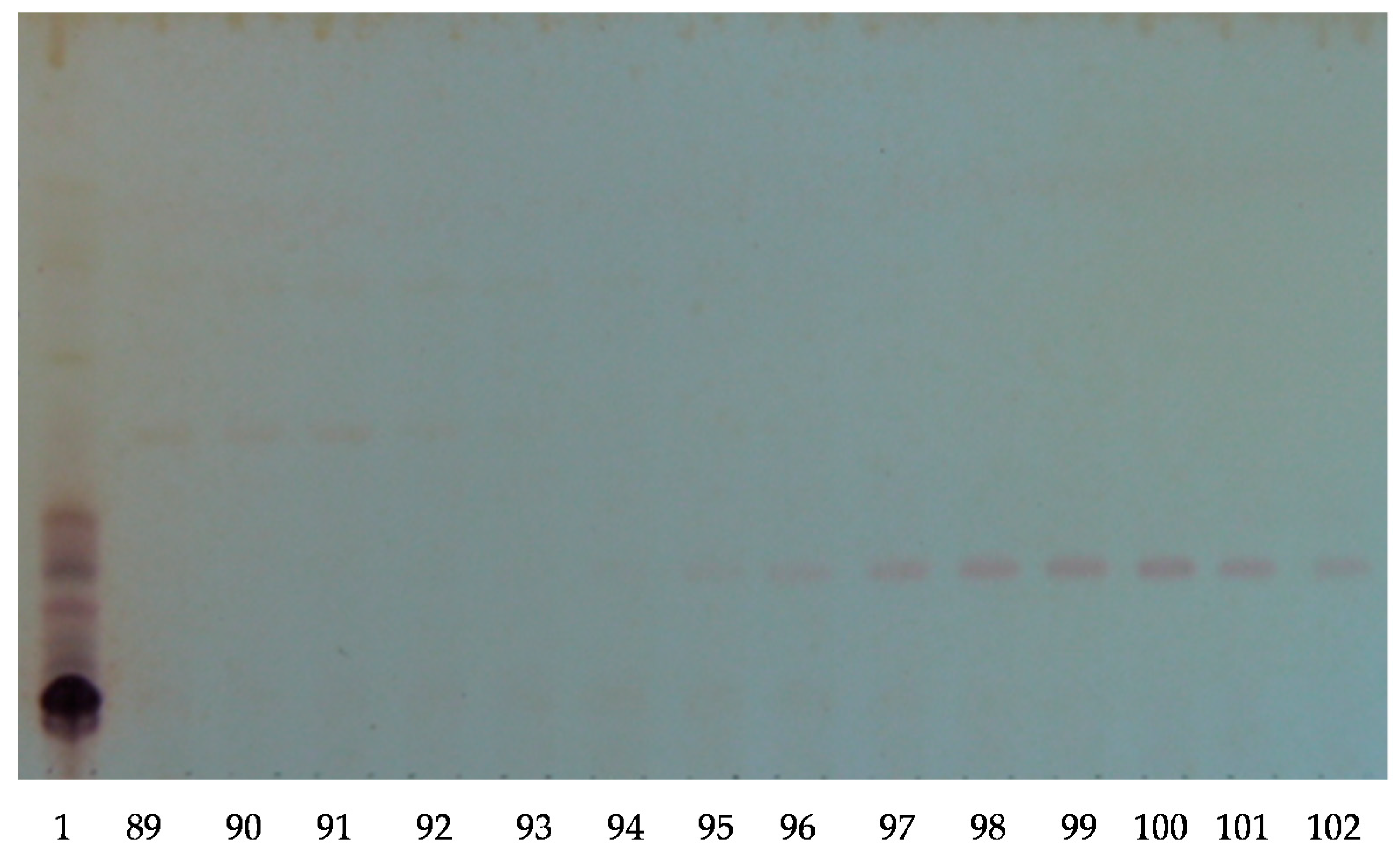 Marinedrugs 16 00423 g001 550