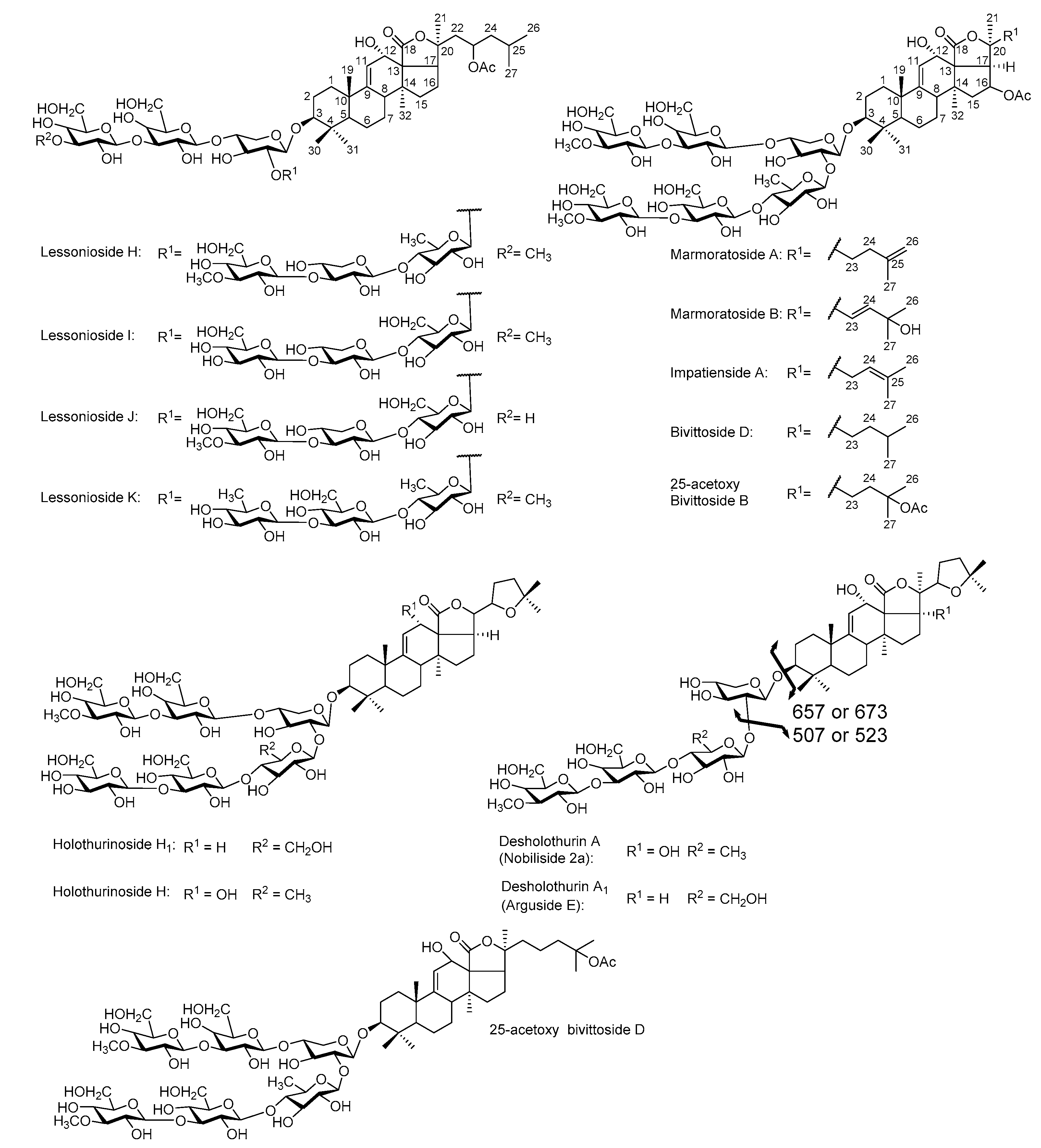 Marinedrugs 16 00423 g005 550