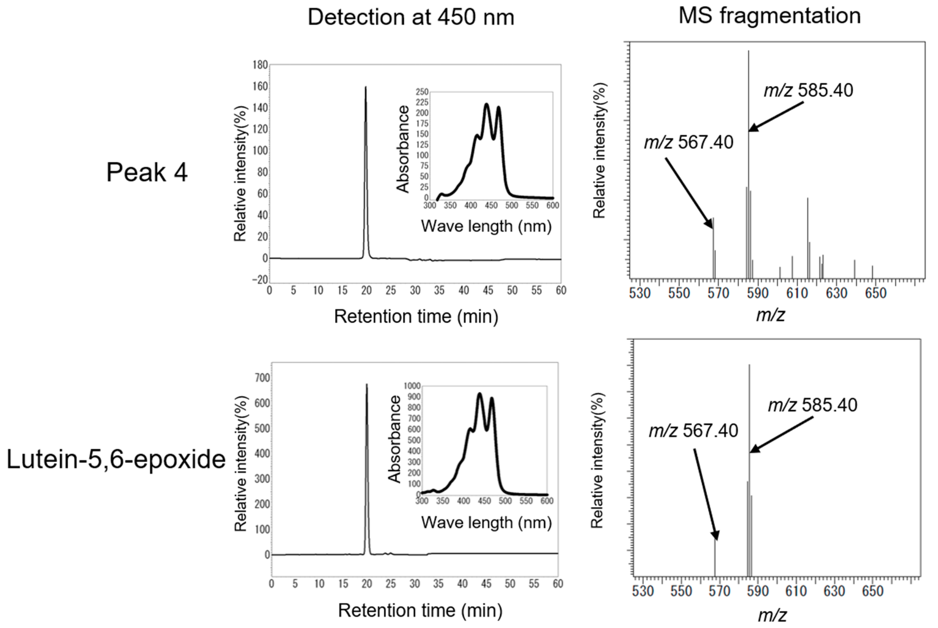 Marinedrugs 16 00426 g008 Marinedrugs 16 00426 g008
