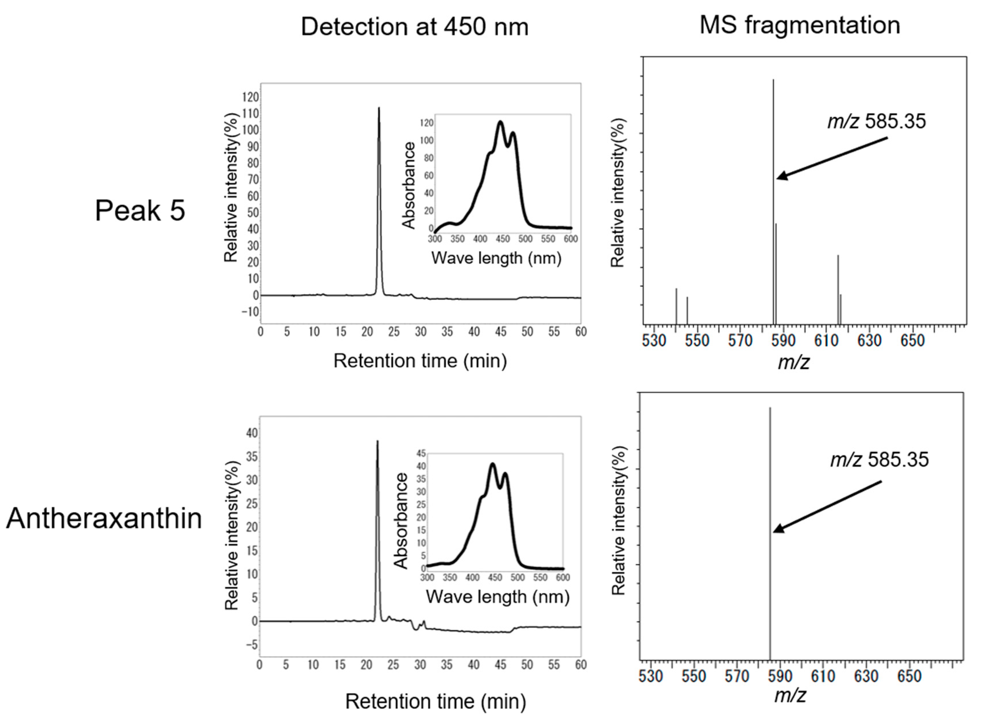 Marinedrugs 16 00426 g009 Marinedrugs 16 00426 g009