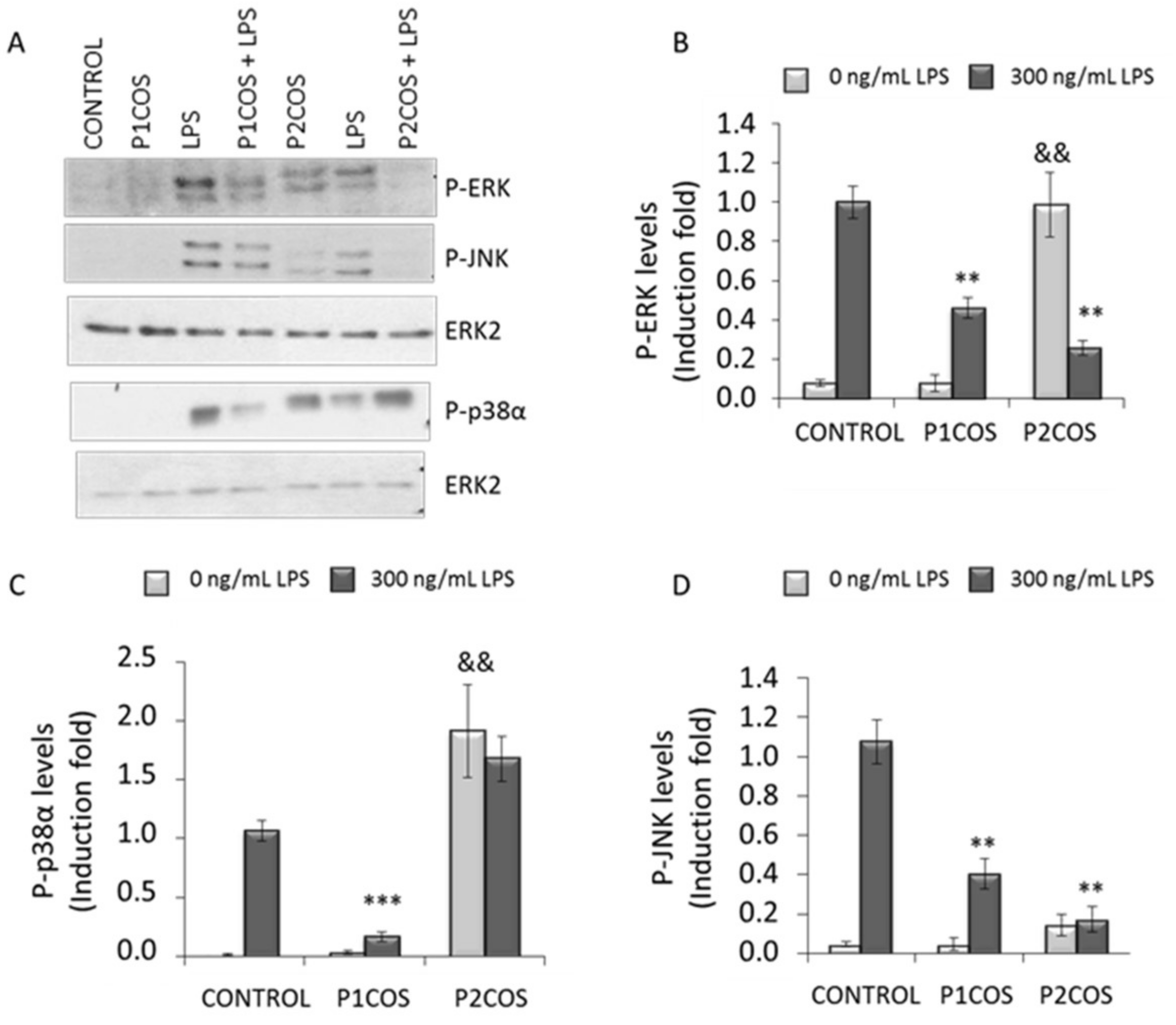 Marinedrugs 16 00430 g006 Marinedrugs 16 00430 g006