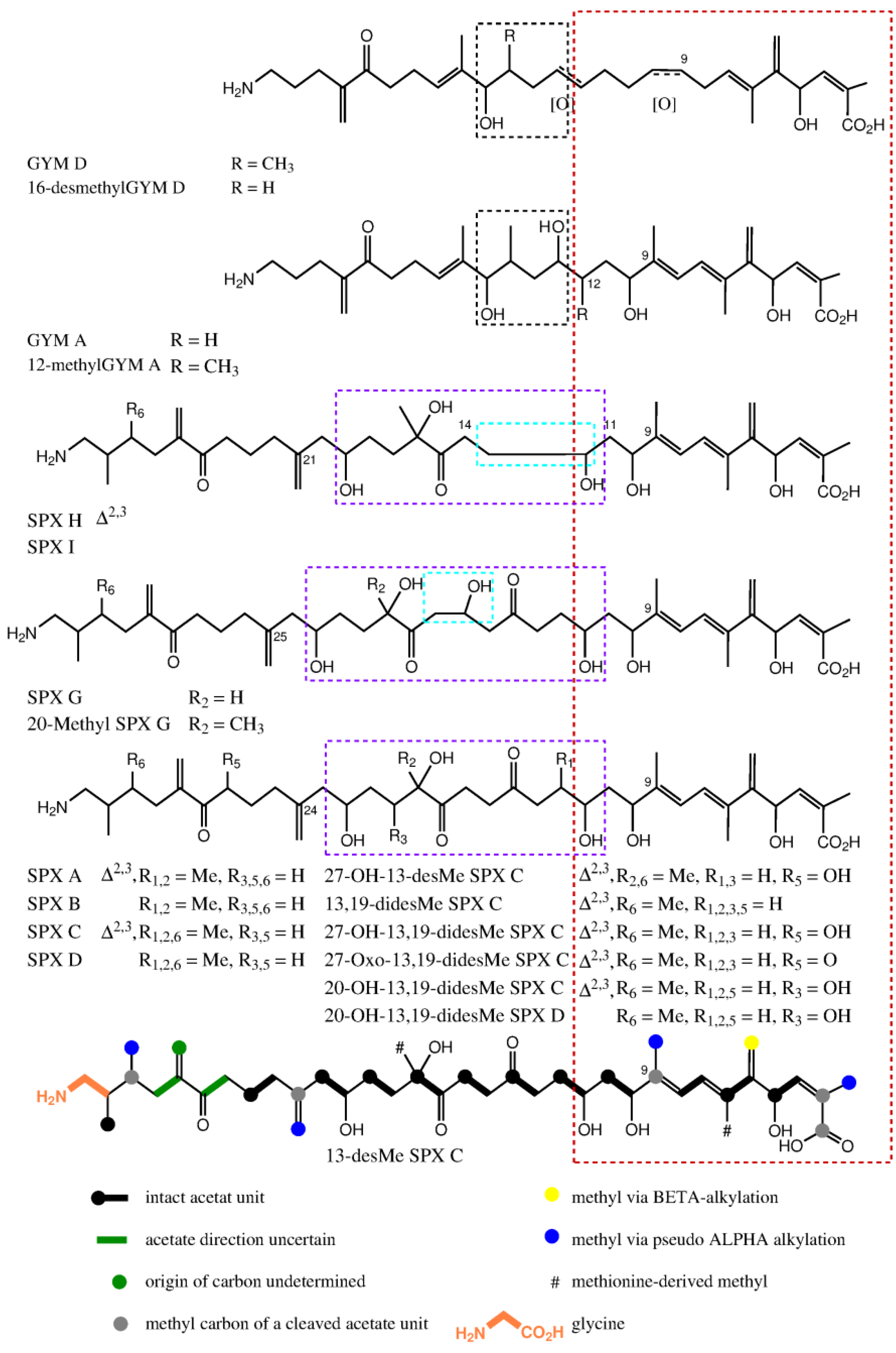 Marinedrugs 16 00446 g007 Marinedrugs 16 00446 g007