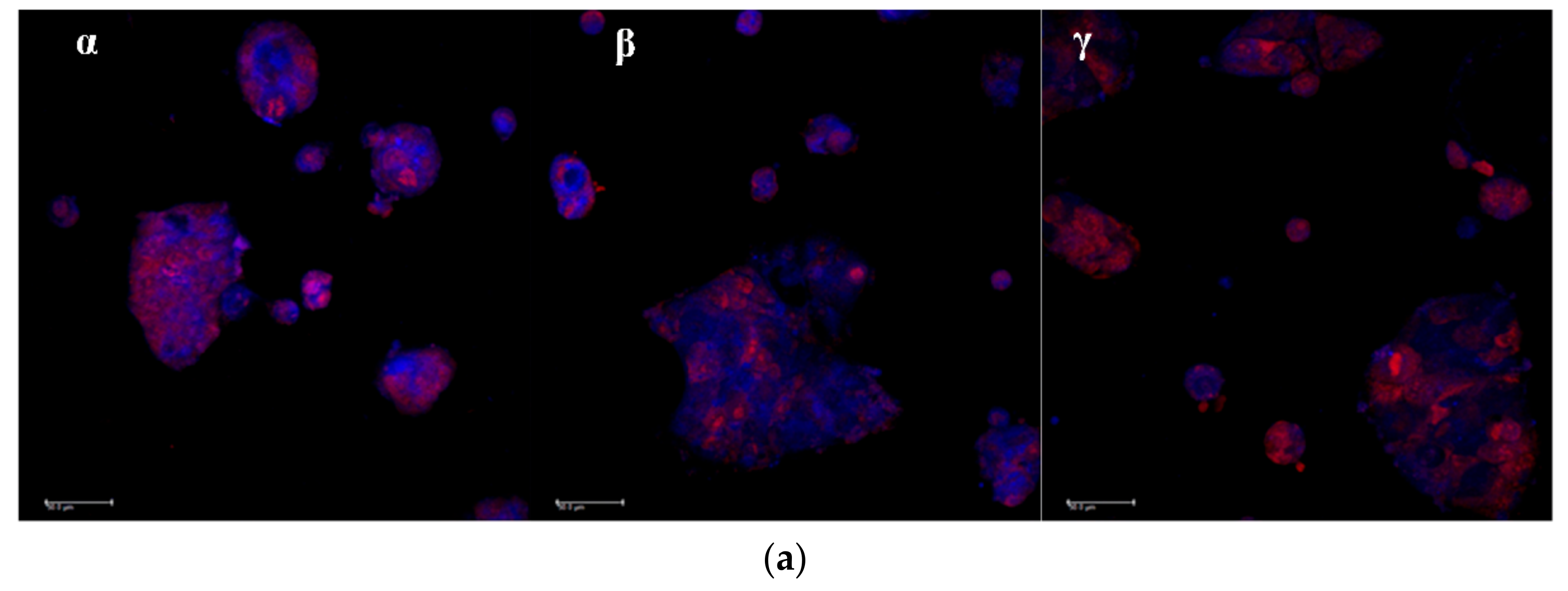 Marinedrugs 16 00447 g008a Marinedrugs 16 00447 g008a