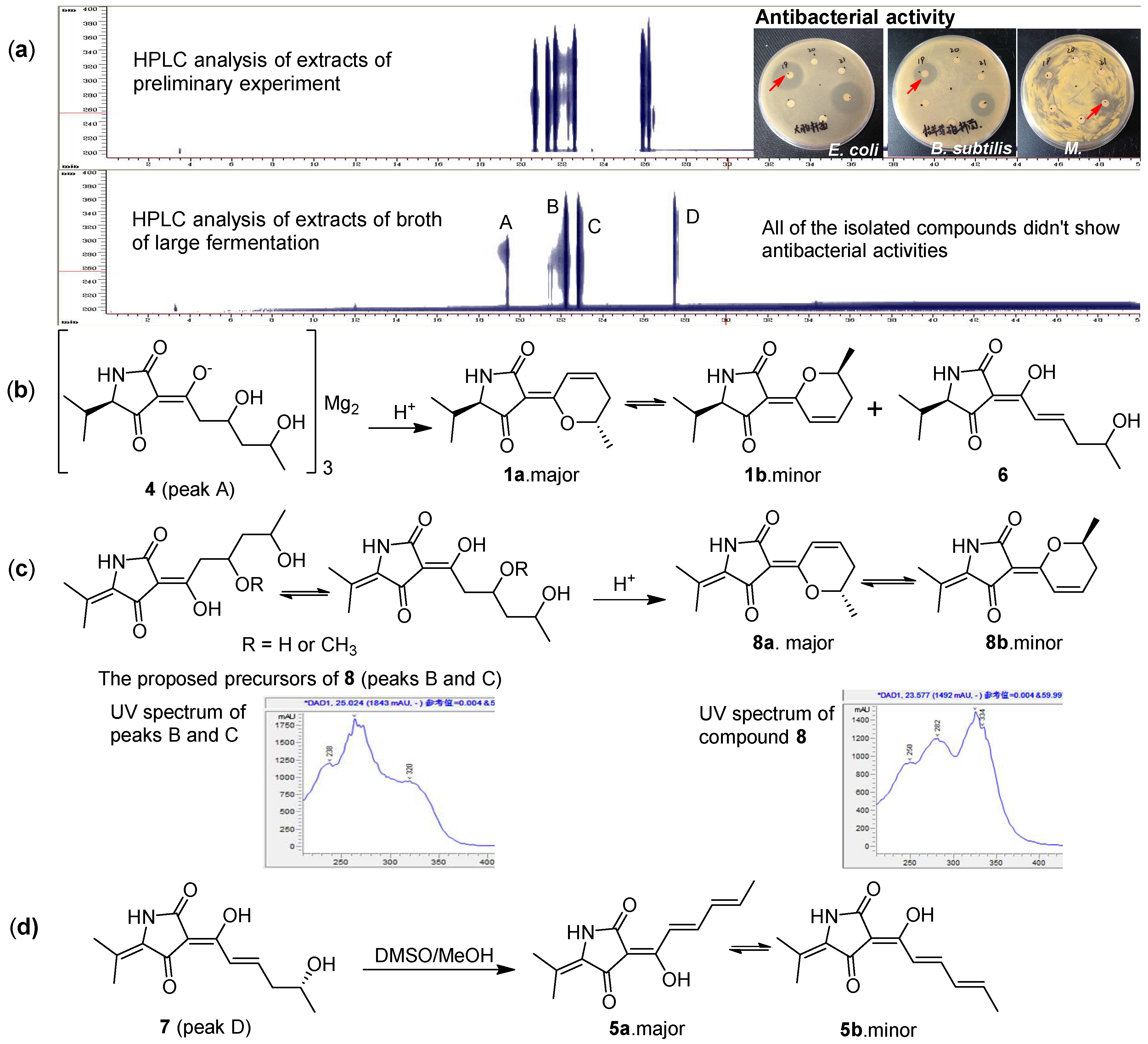 Marinedrugs 16 00448 g005 550