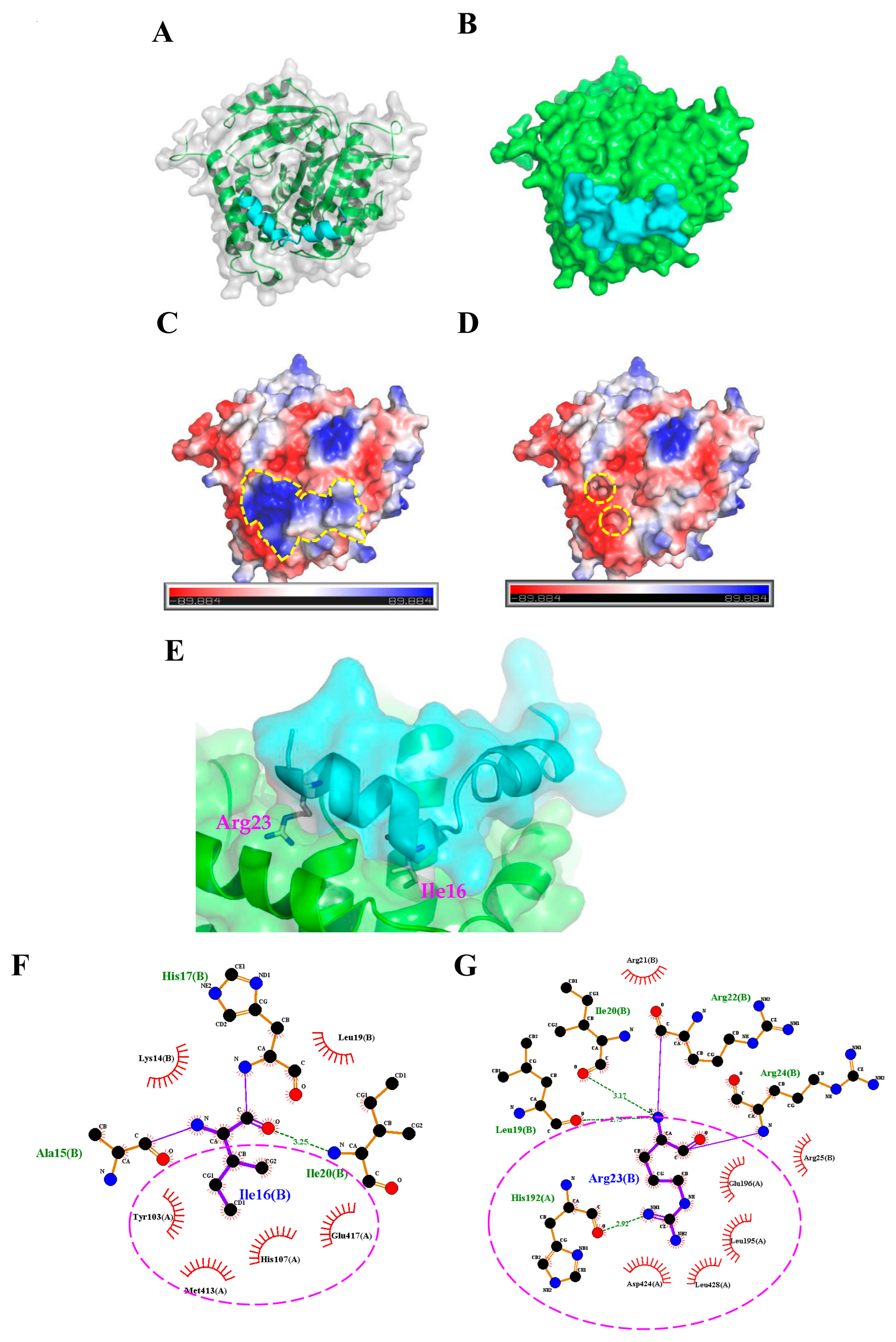 Marinedrugs 16 00462 g004