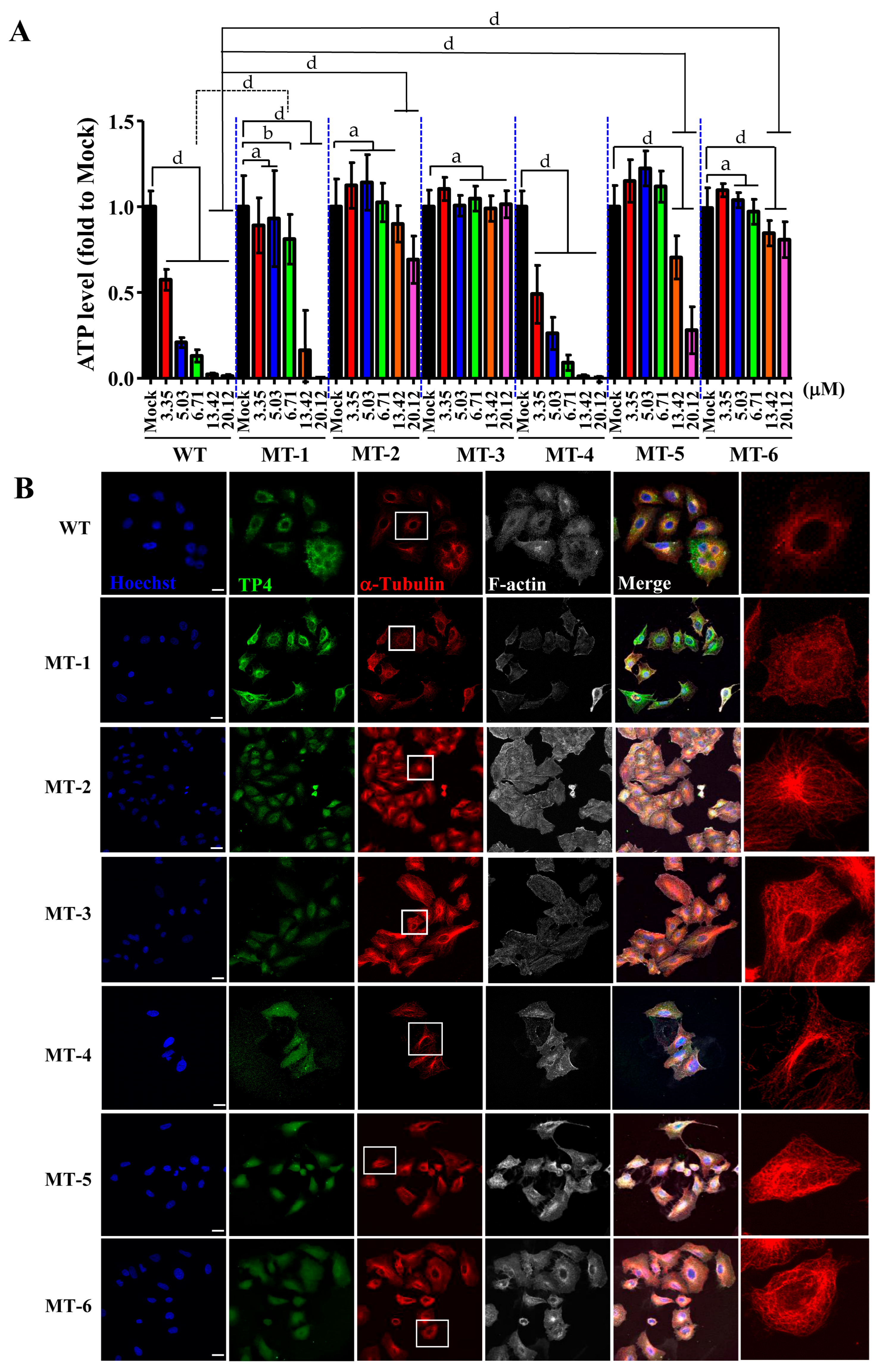 Marinedrugs 16 00462 g006