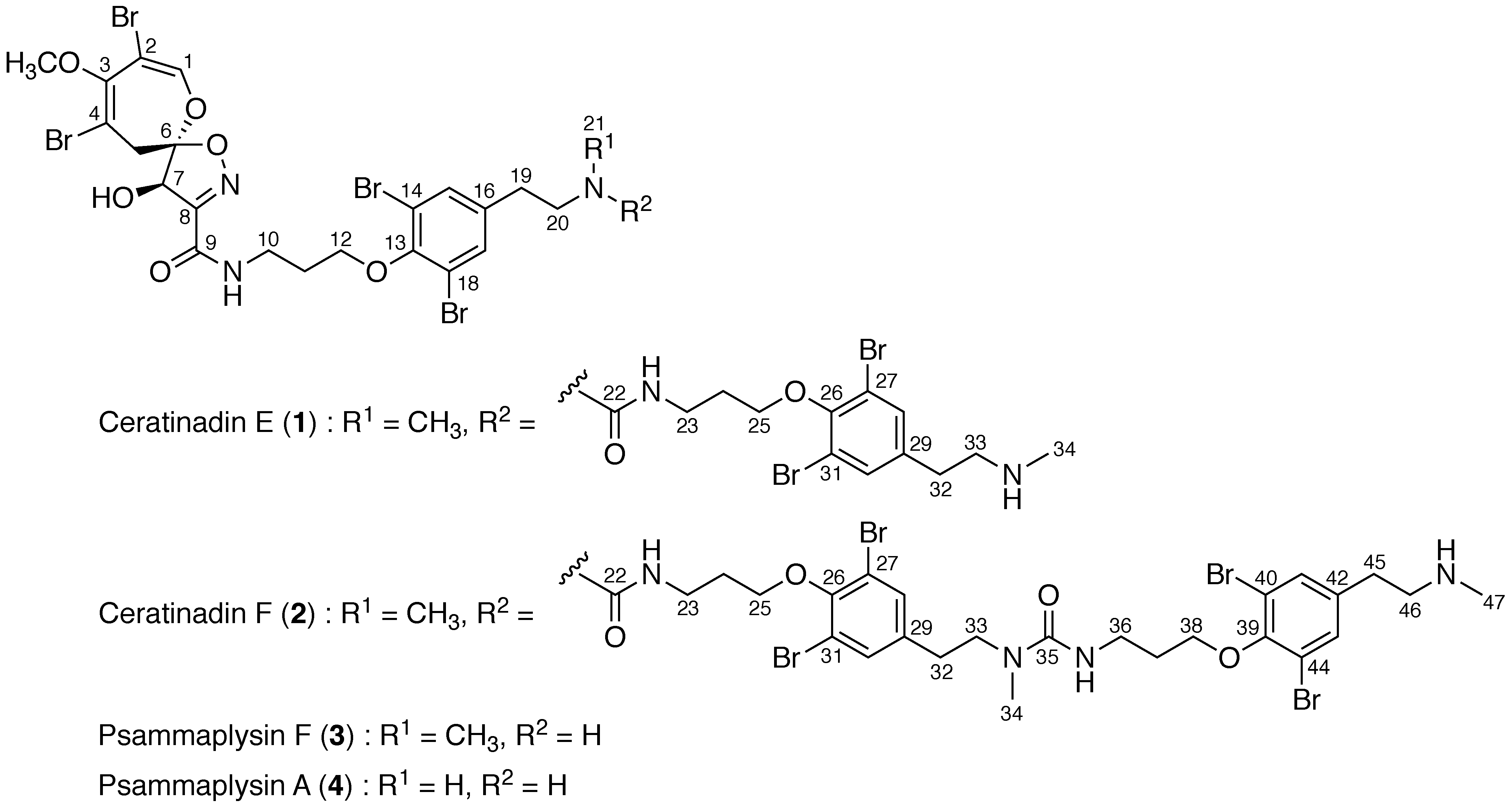 Marinedrugs 16 00463 g001 Marinedrugs 16 00463 g001