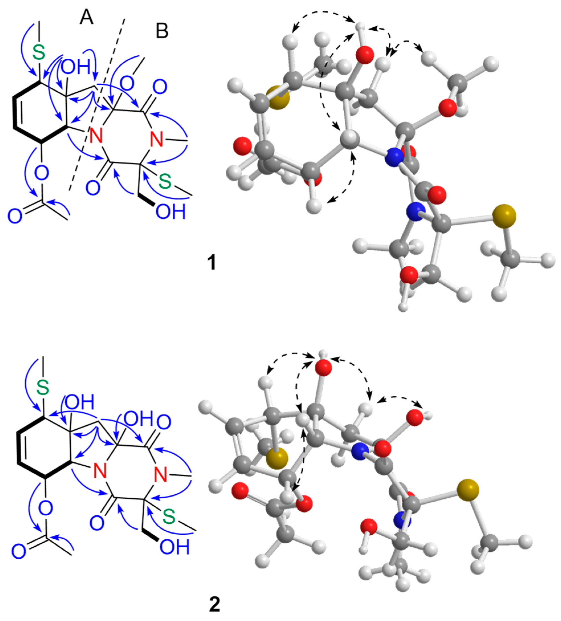 Marinedrugs 16 00464 g002