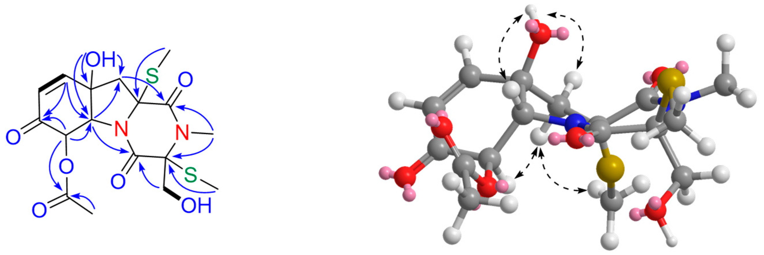 Marinedrugs 16 00464 g004