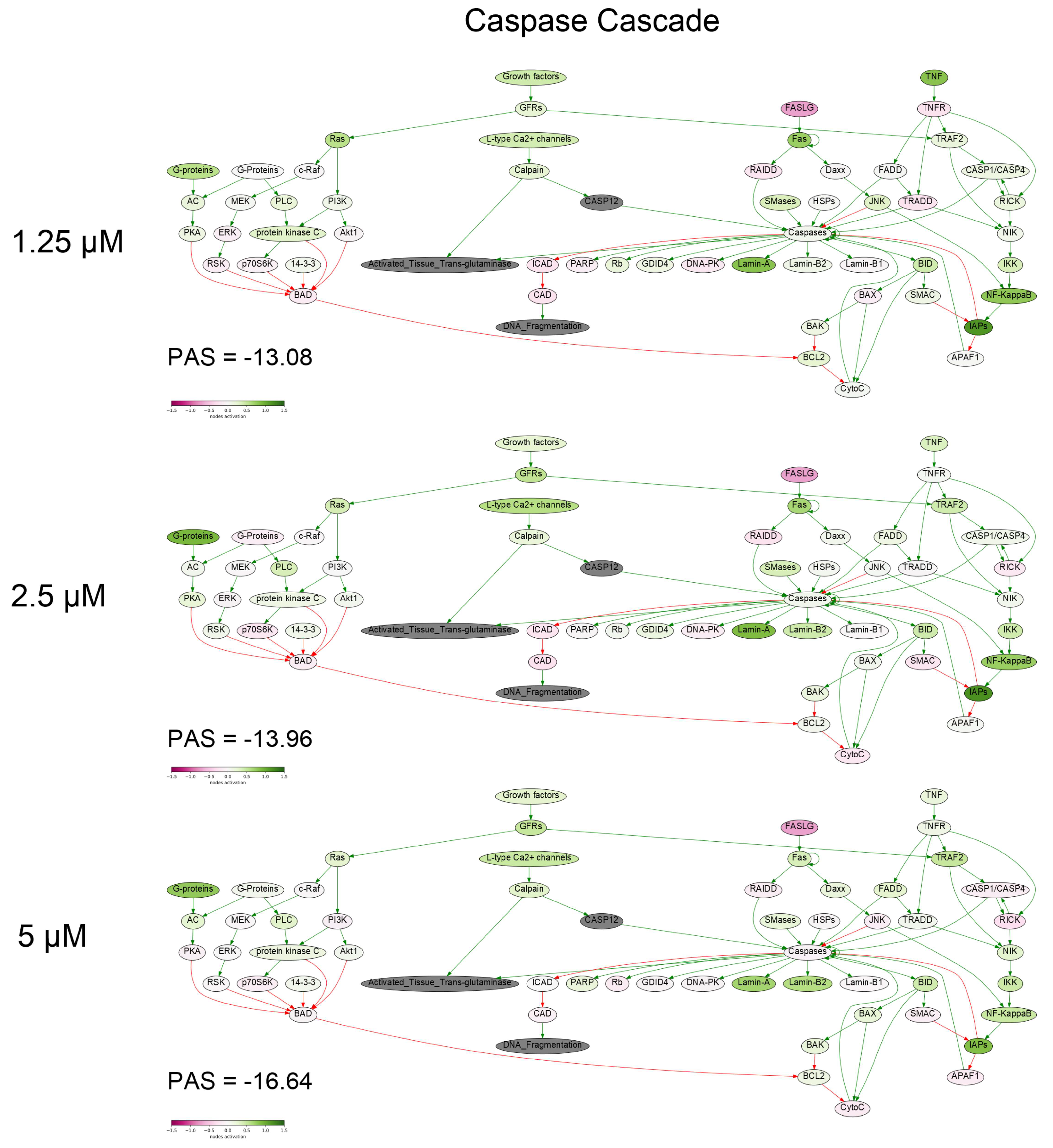 Marinedrugs 16 00466 g006 Marinedrugs 16 00466 g006