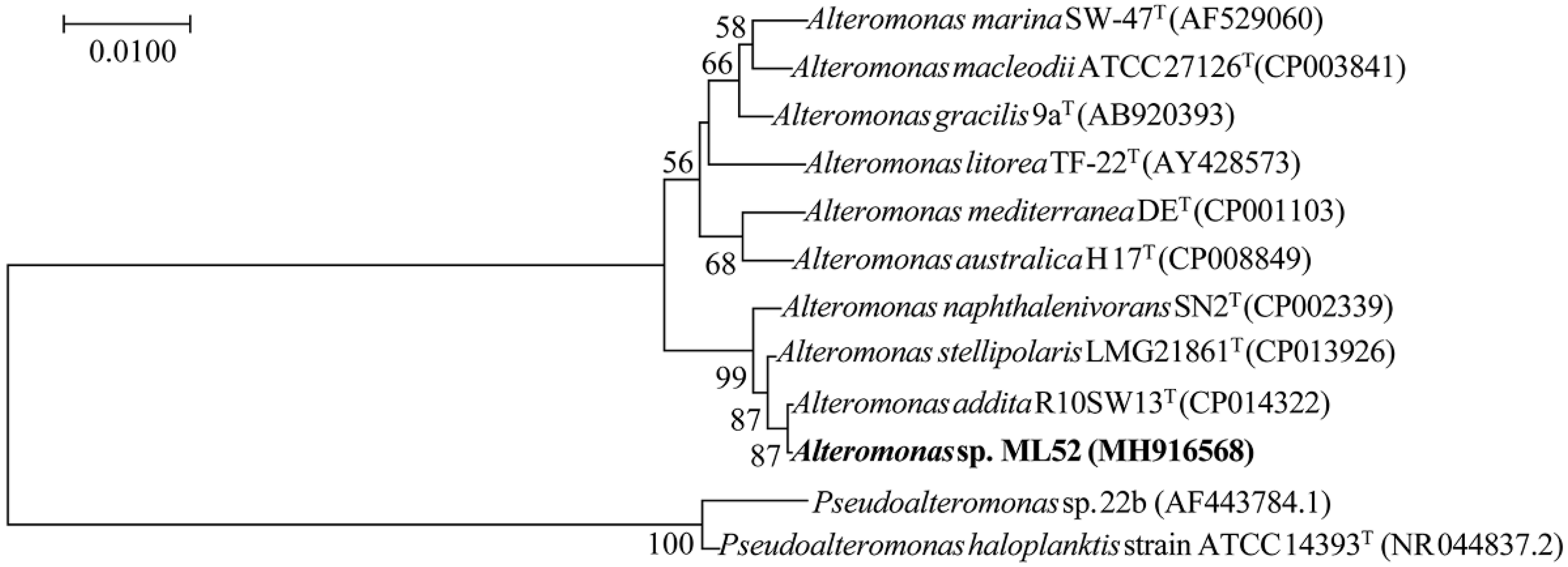 Marinedrugs 16 00469 g001