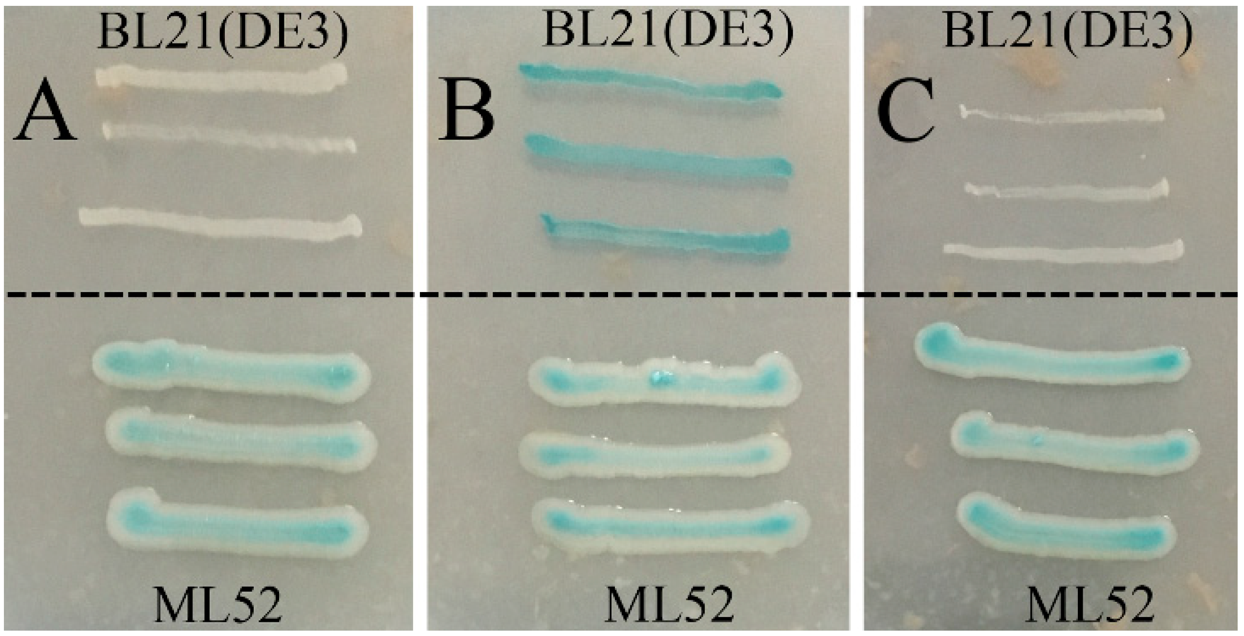 Marinedrugs 16 00469 g002