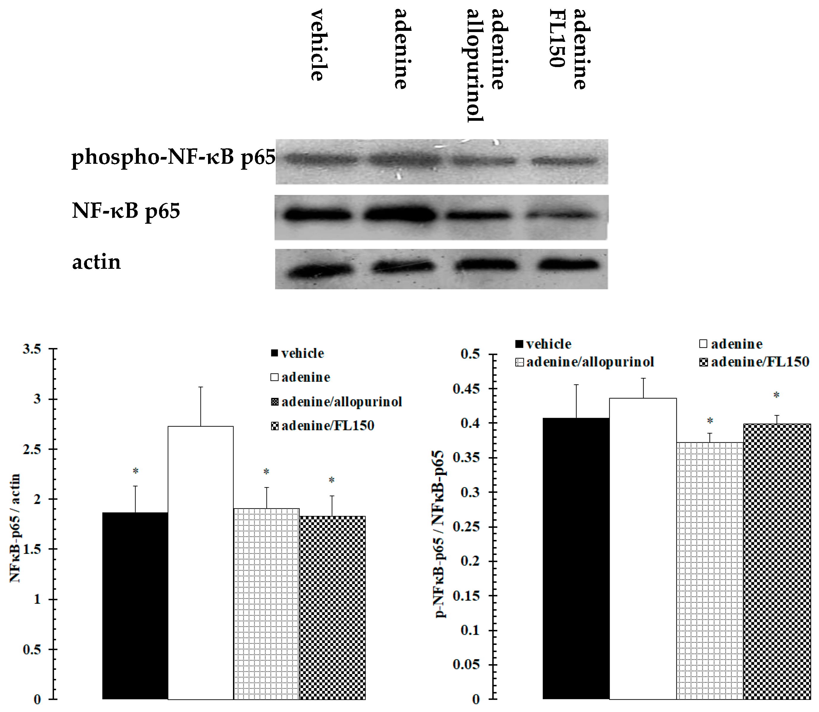 Marinedrugs 16 00472 g003