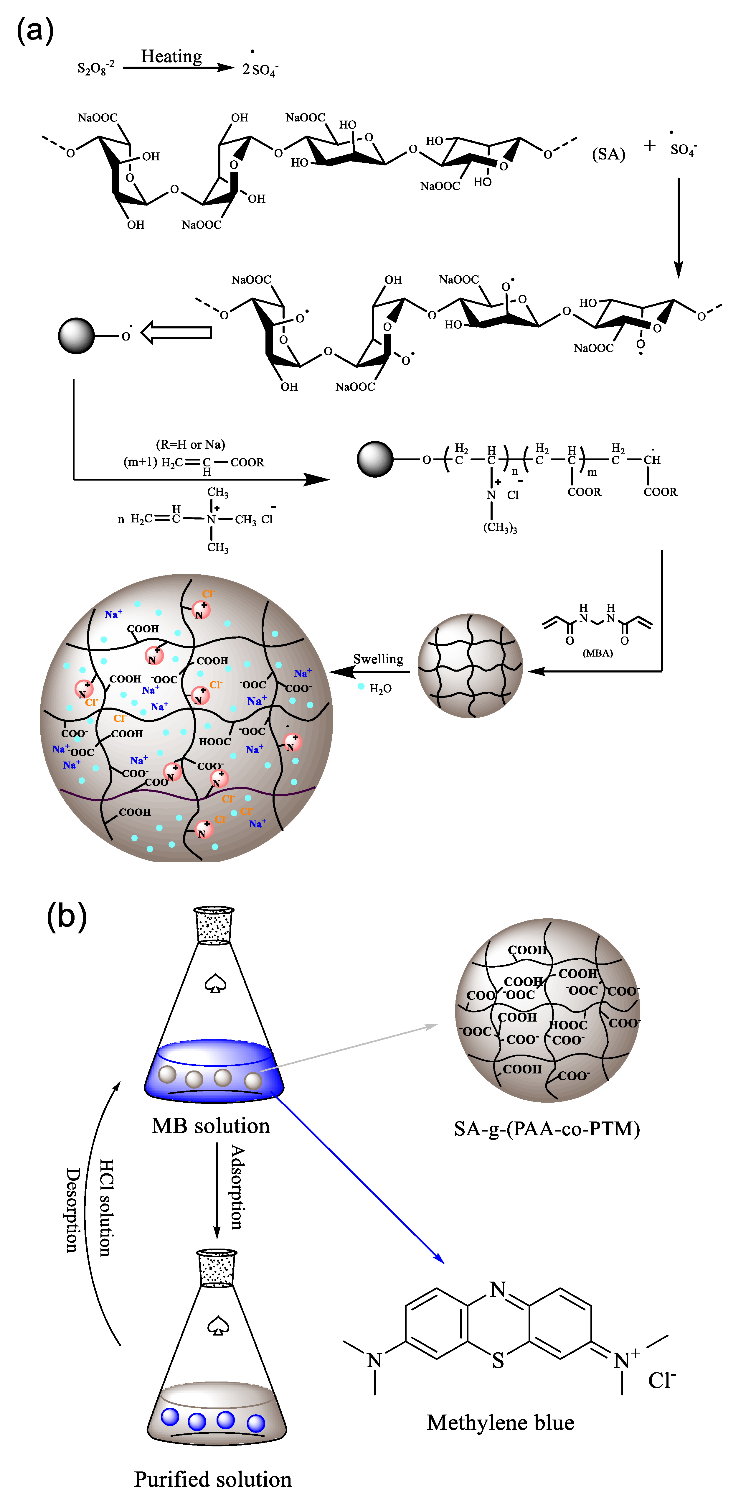 Marinedrugs 16 00476 g004